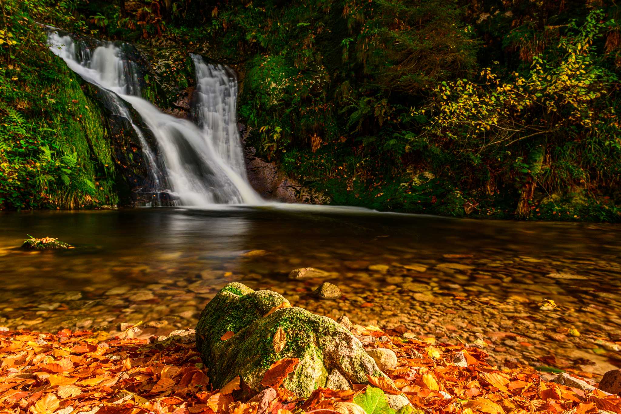 Fallen leaves cover the shores of the lake with a waterfall in the background.