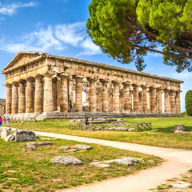 Sorrento to Paestum: Private day trip