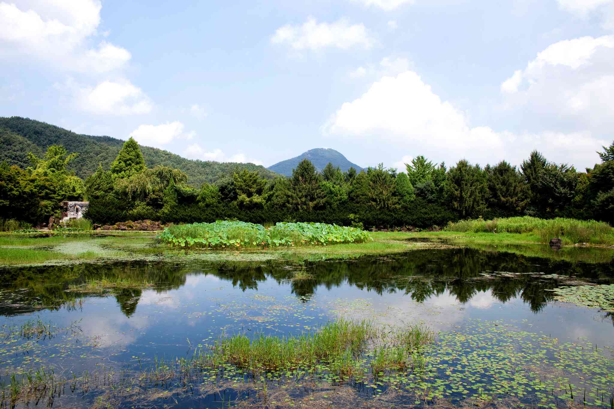 Blick auf die Landschaft von Paju - private Tagesreise von Incheon - Foto 3