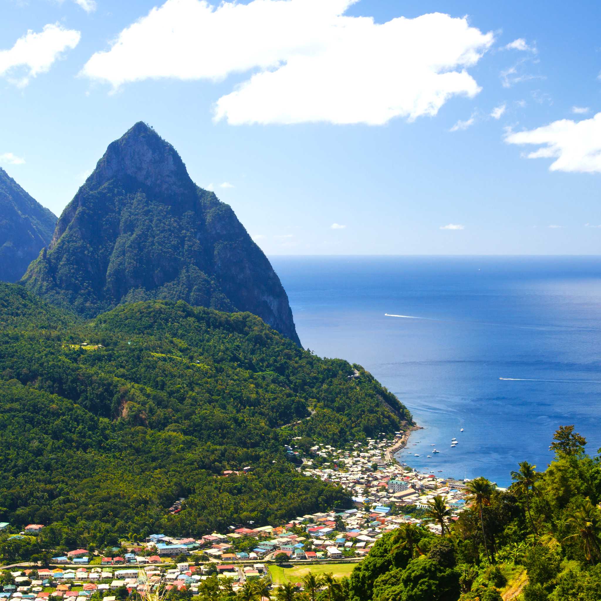 Palmiste, St. Lucia