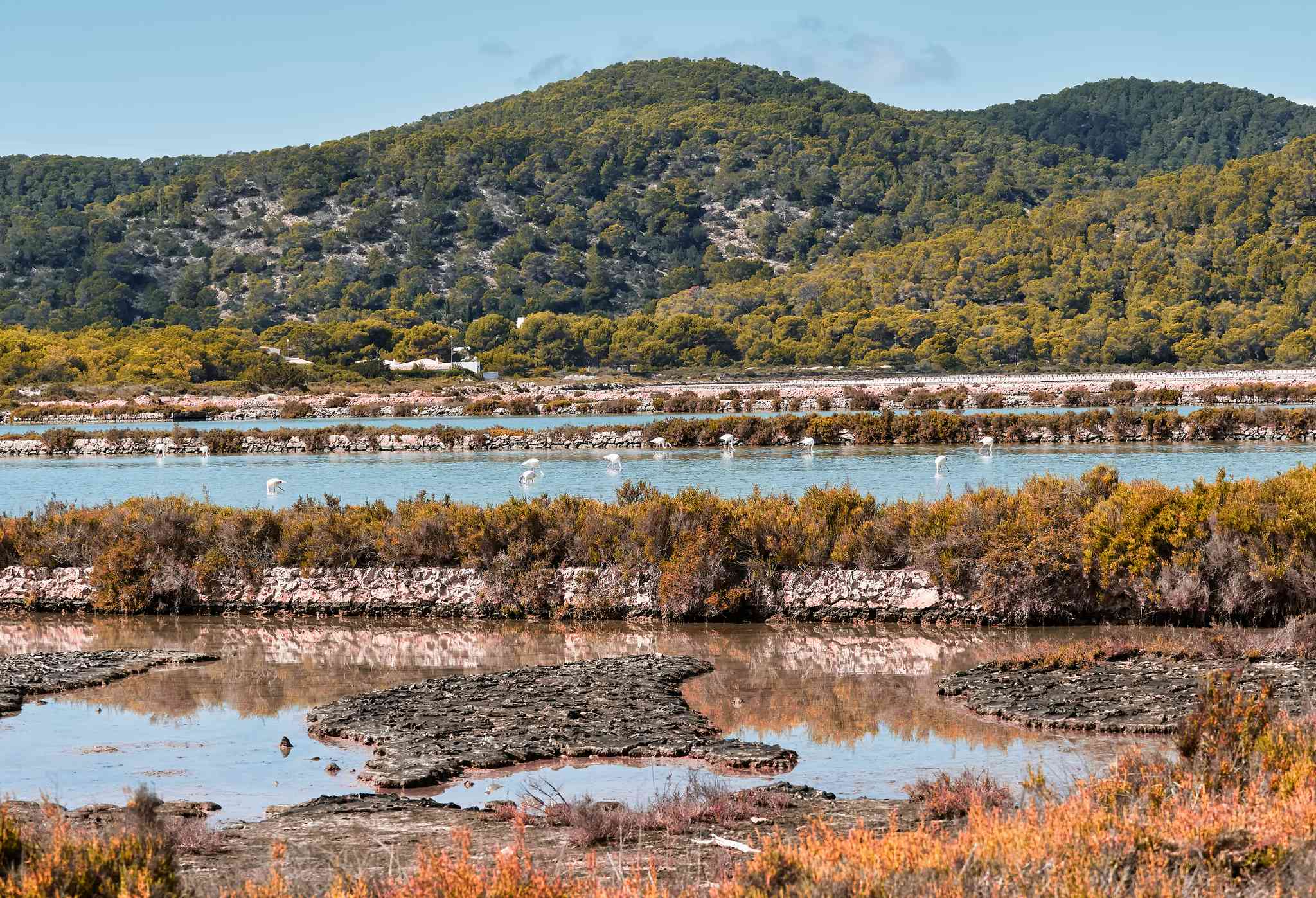Parque Natural de Ses Salines 의 경치 - Ibiza Airport 에서 출발하는 개인 day trip - 사진 3