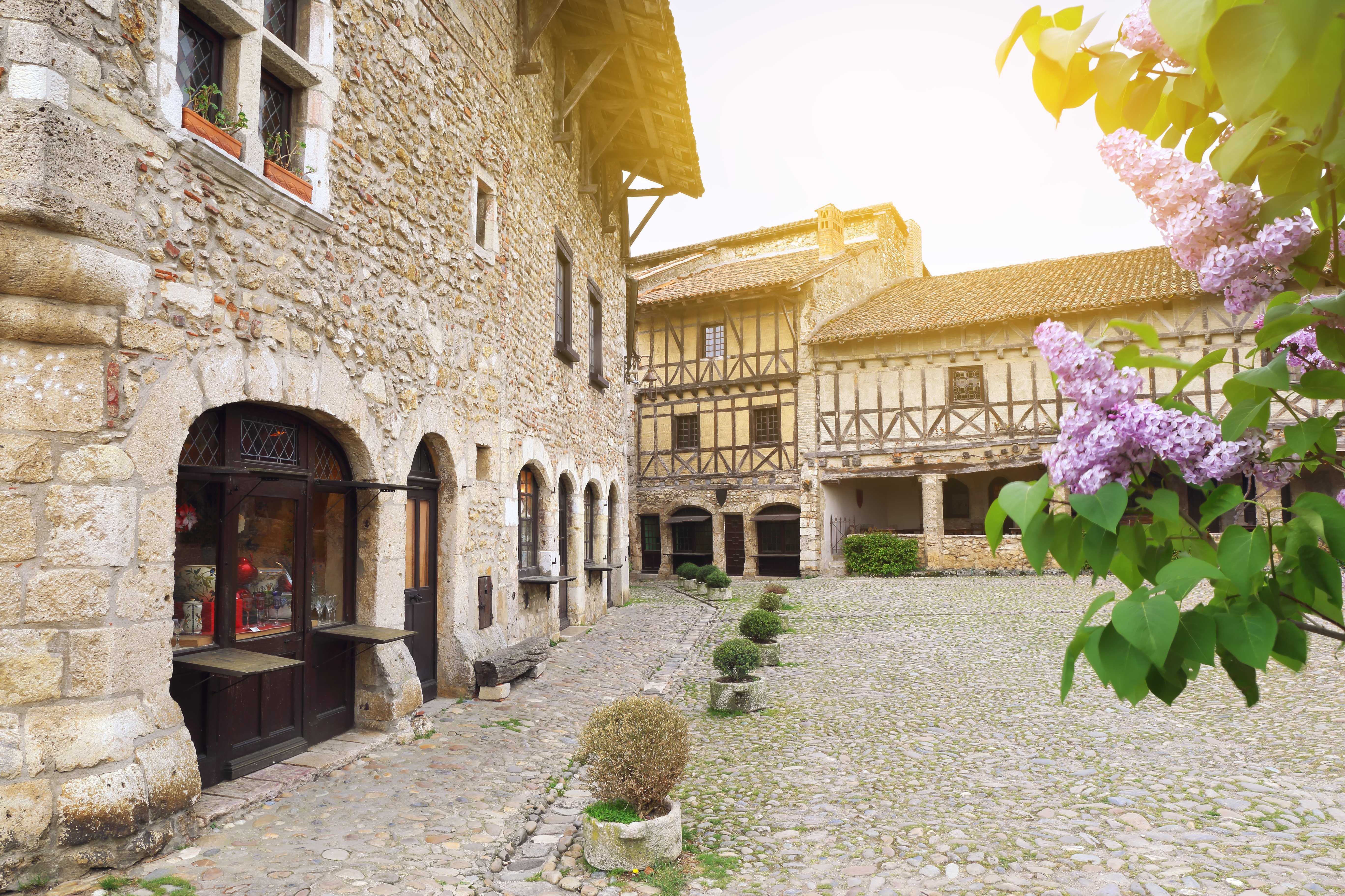 Private Day Trip from Lyon to Perouges and Back