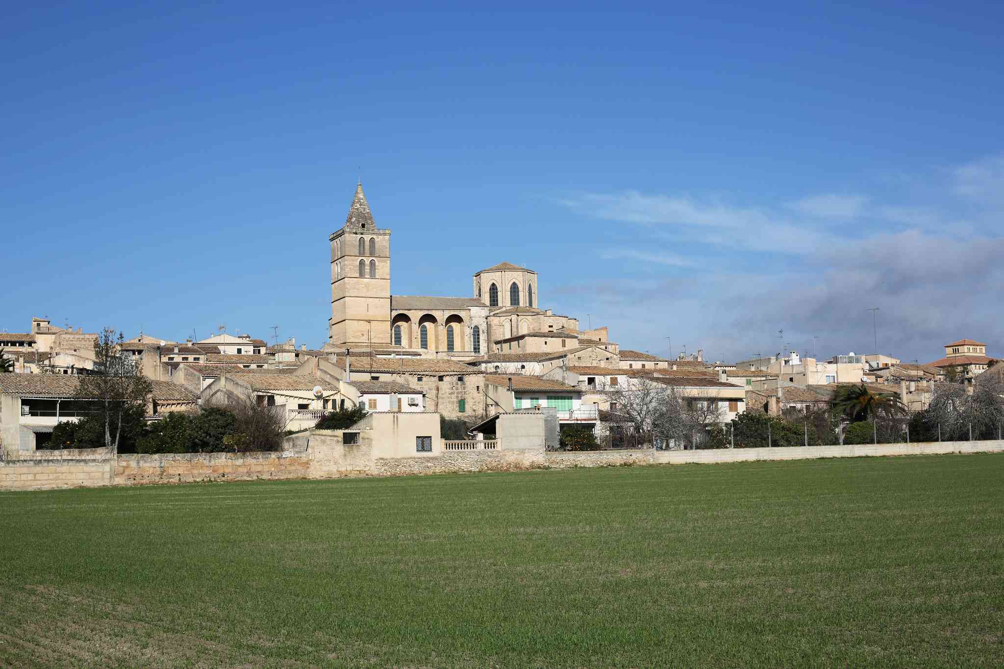 Vue pittoresque de Petra - excursion privée d'une journée depuis Palma de Mallorca - photo 2