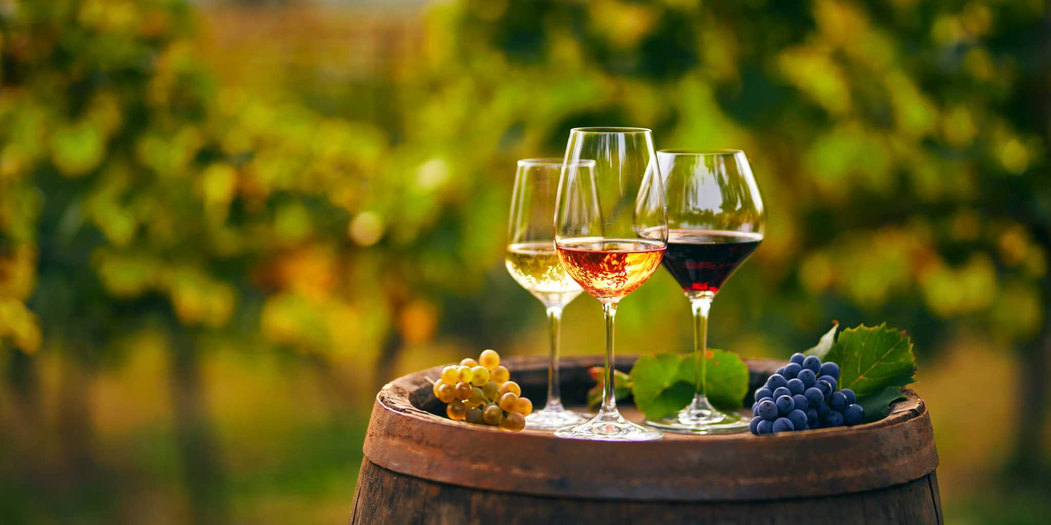 Rhodes City ์์ ์ถ๋ฐํ๋ ๊ฐ์ธ์ ์ธ ํ๋ฃจ ์ฌํ ์ค Piperis Winery ์ผ์ ์ ์ง