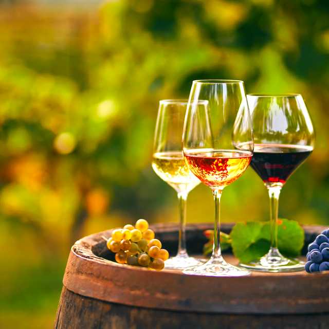 Rhodes City to Piperis Winery and Lindos: Private day trip