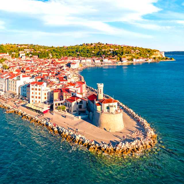 Ljubljana to Piran and Trieste: Private day trip