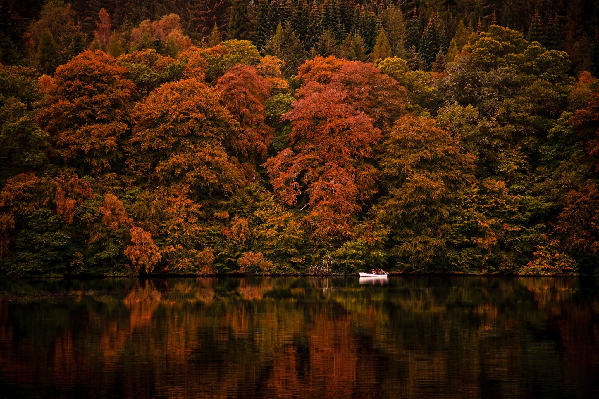 A canoe sits on a dark lake overshadowed by large, deep red-leafed trees.
