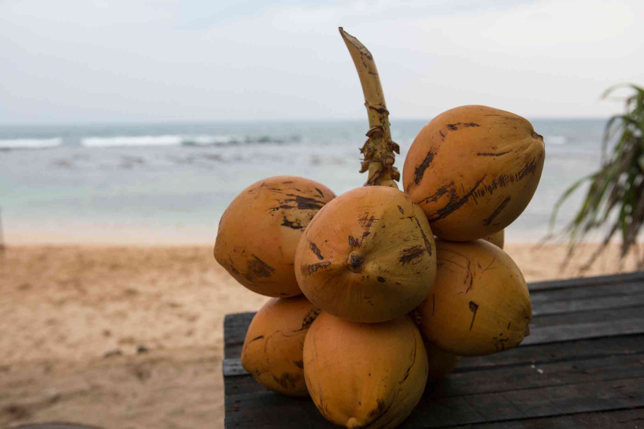 Vue pittoresque de Galle - excursion privée d'une journée depuis Polhena - photo 7