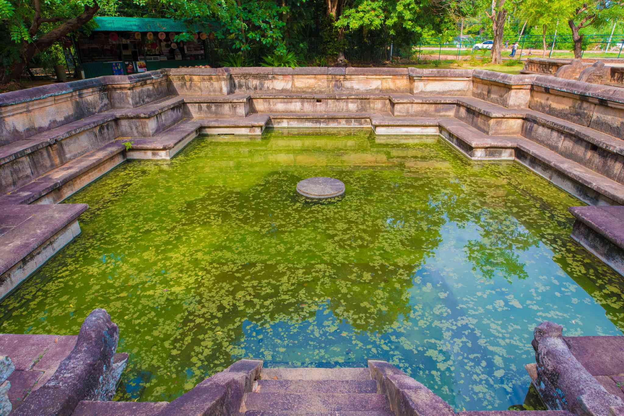 Blick auf die Landschaft von Polonnaruwa - private Tagesreise von Kandy - Foto 4