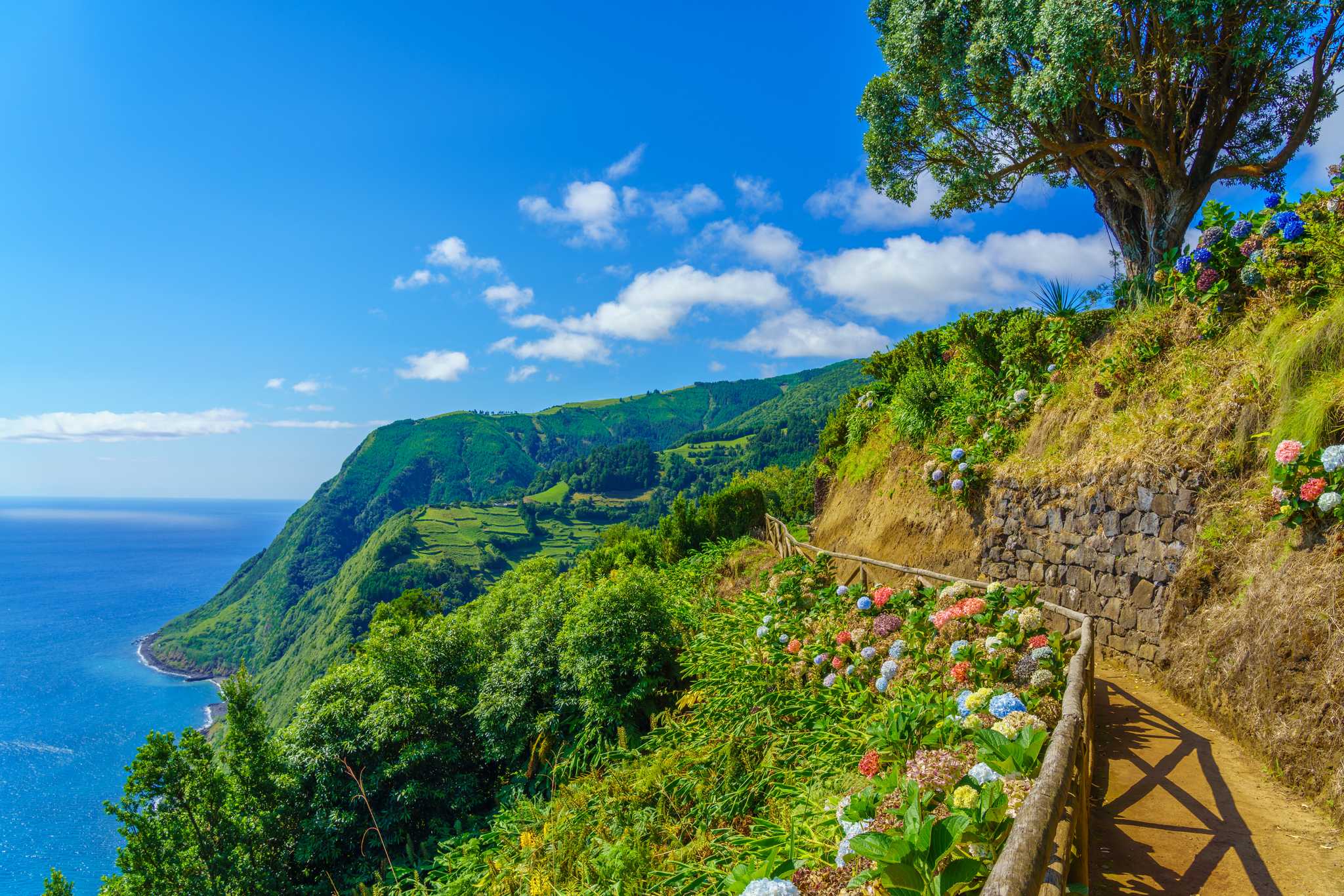 在 从 ponta-delgada-portugal-pt 到 nordeste-pt 的途中，参观 Ponta do Sossego Viewpoint ，通过 Daytrip
