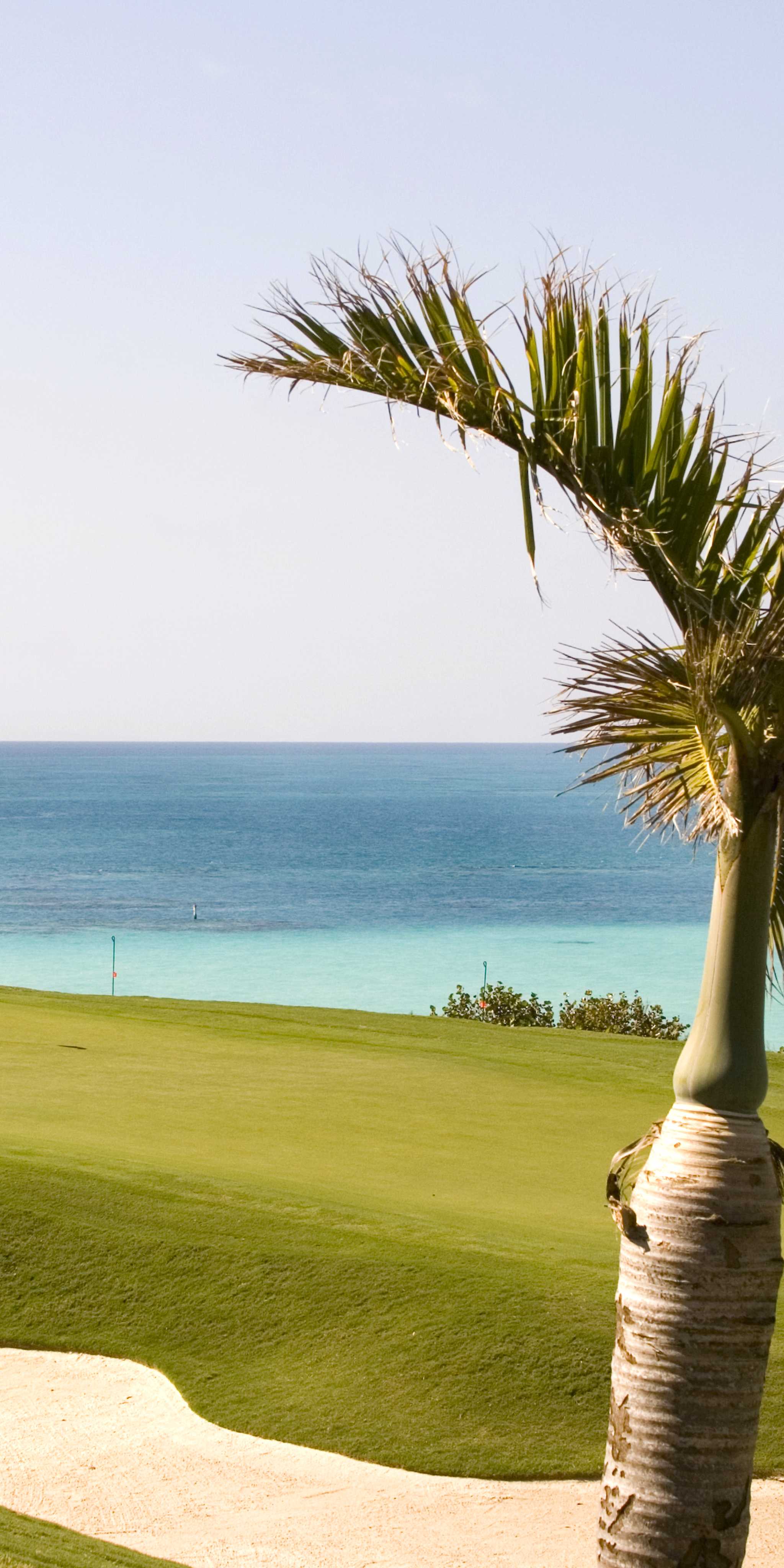 ํฌํธ ๋ก์ด ๊ณจํ ์ฝ์ค