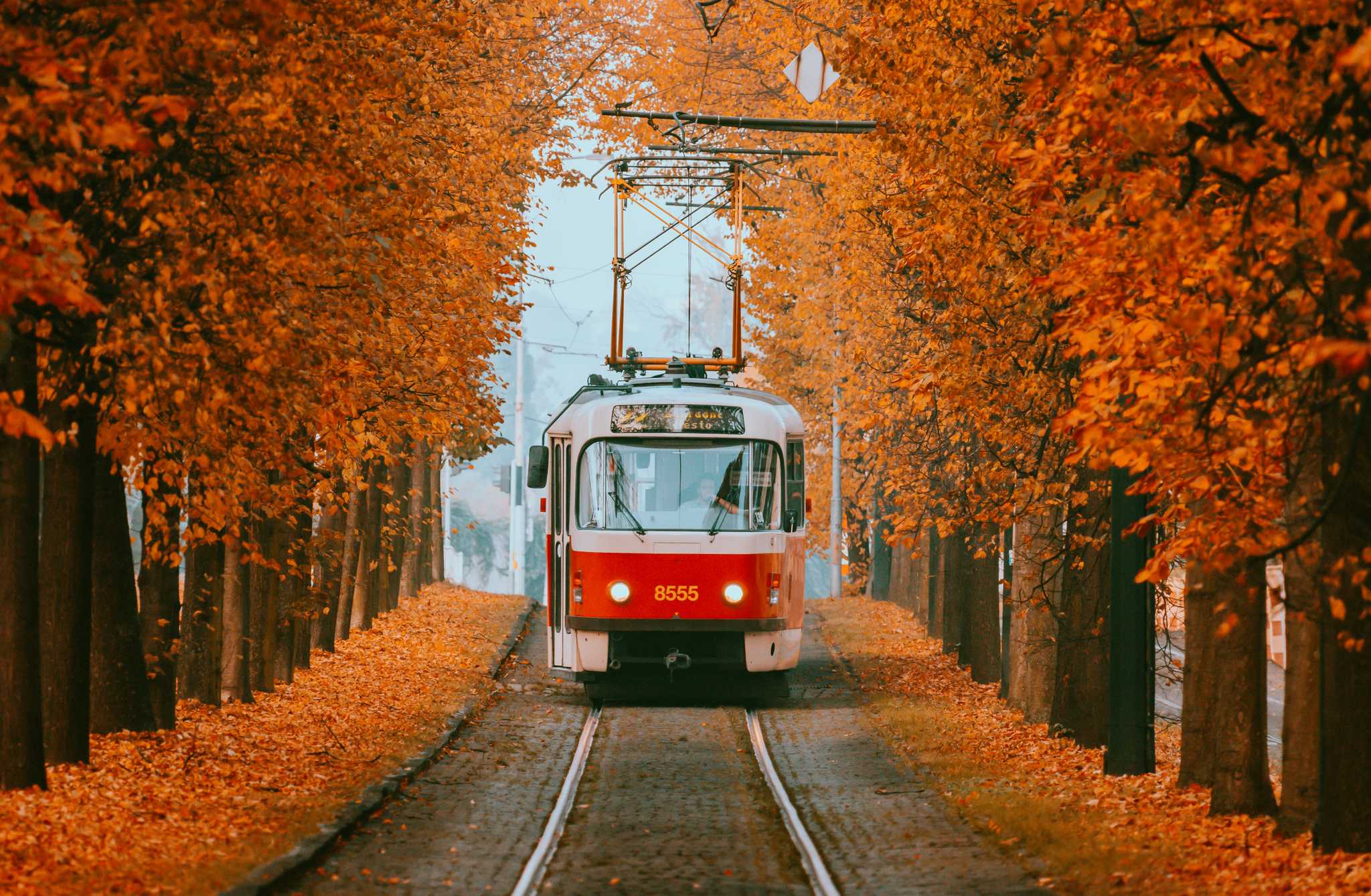 Parada del itinerario en Prague en excursión privada desde Bratislava