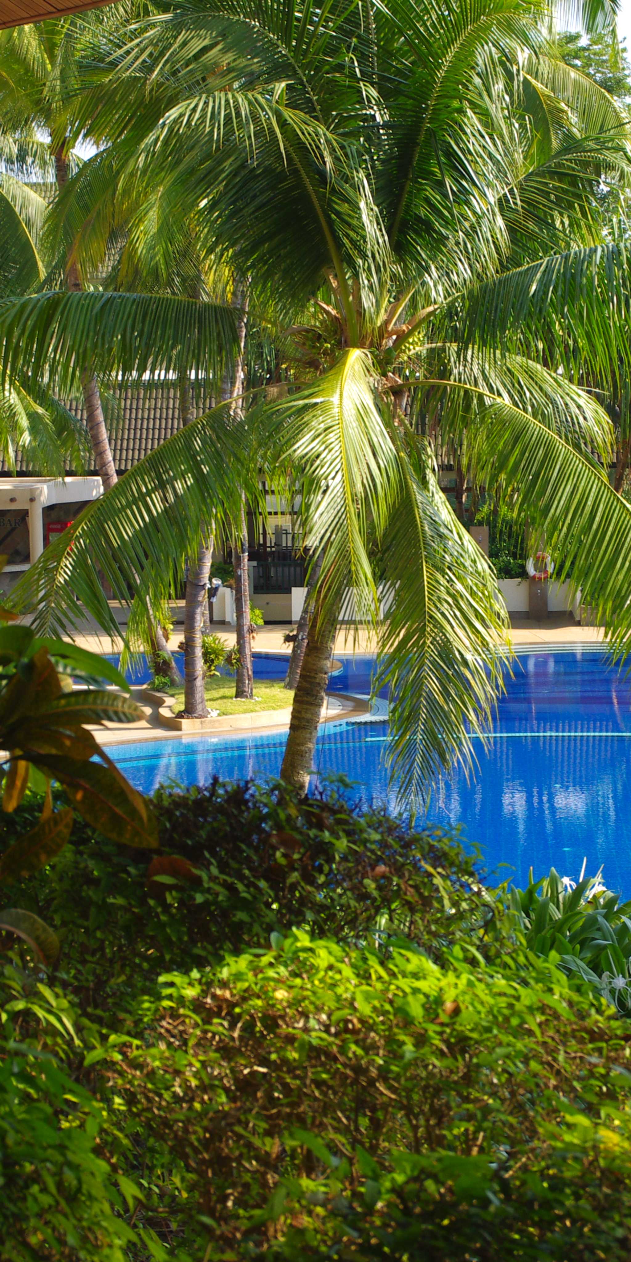 Punta Roca Surf Resort