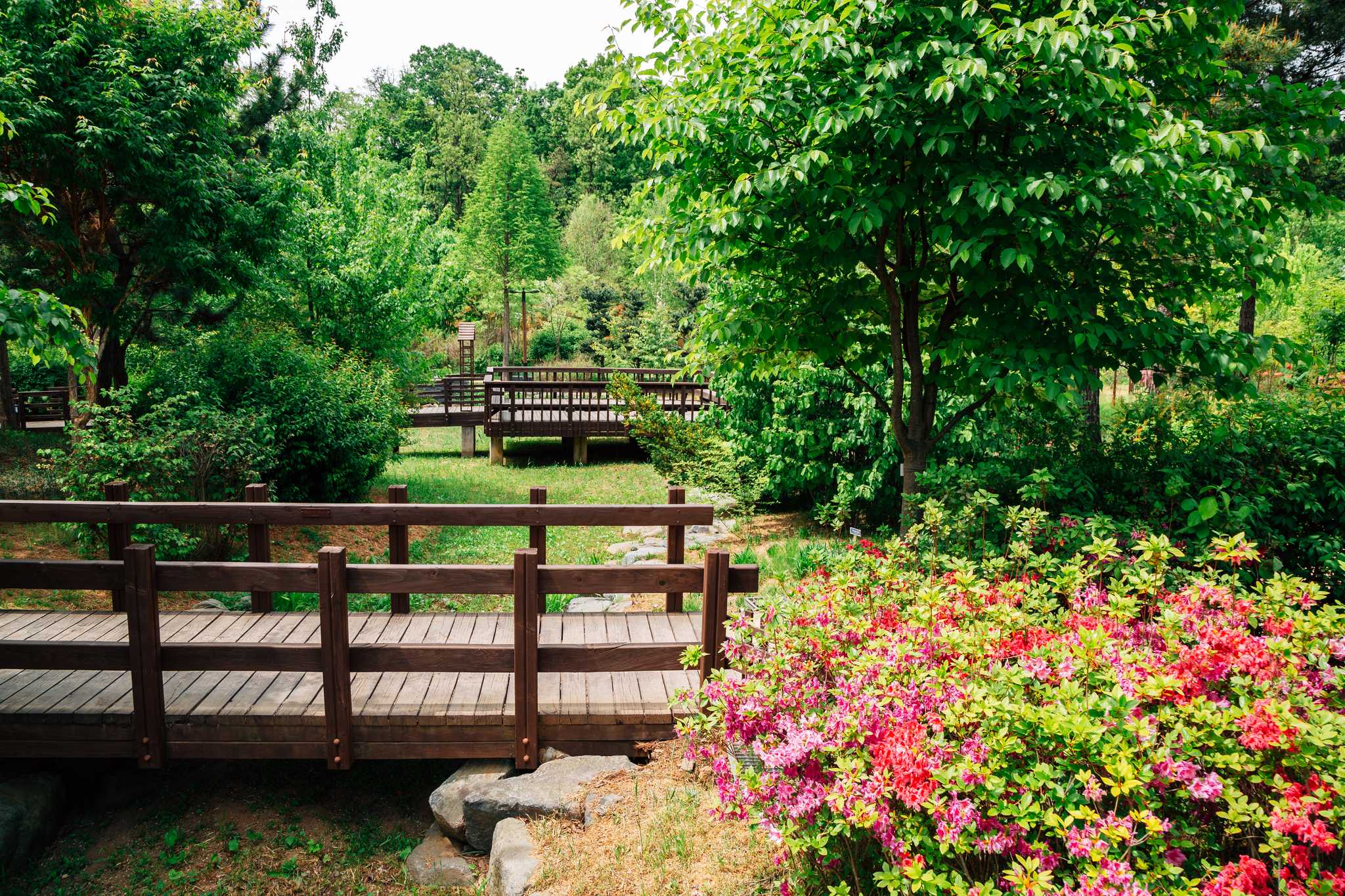 在 从 incheon-kr 到 suwon-kr 的途中，参观 Pureun Arboretum ，通过 Daytrip