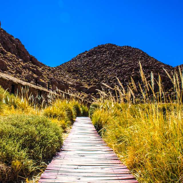 San Pedro de Atacama to Hot Springs and Lagoons: Day Trip