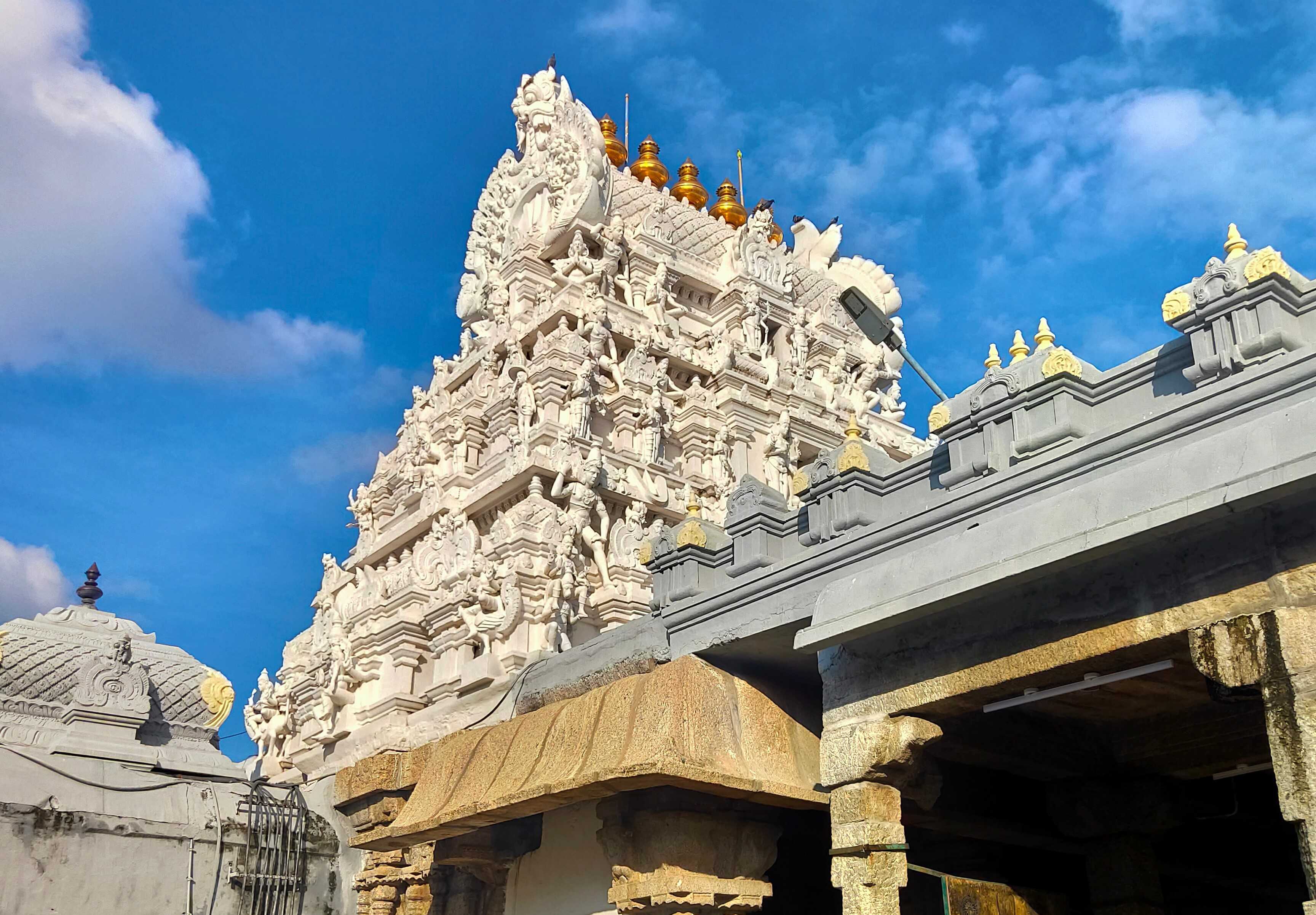 cavelossim-to-puttur-private-transfer-daytrip