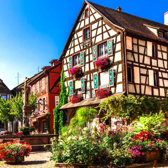 Strasbourg to Riquewihr: Private day trip