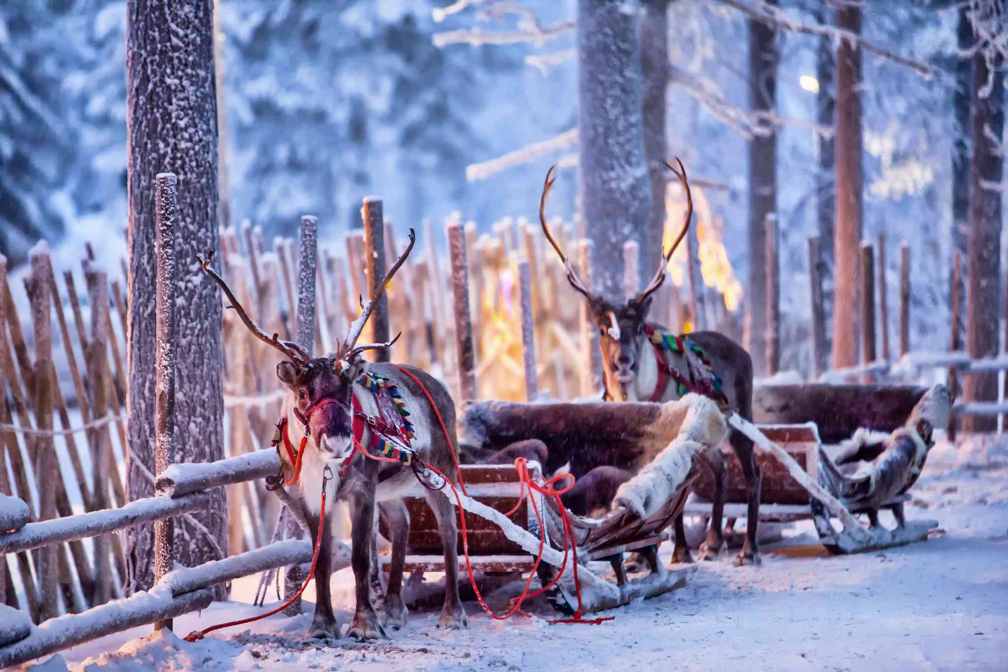 Vista panorámica de Helsinki - excursión privada de un día desde Rovaniemi - foto 8