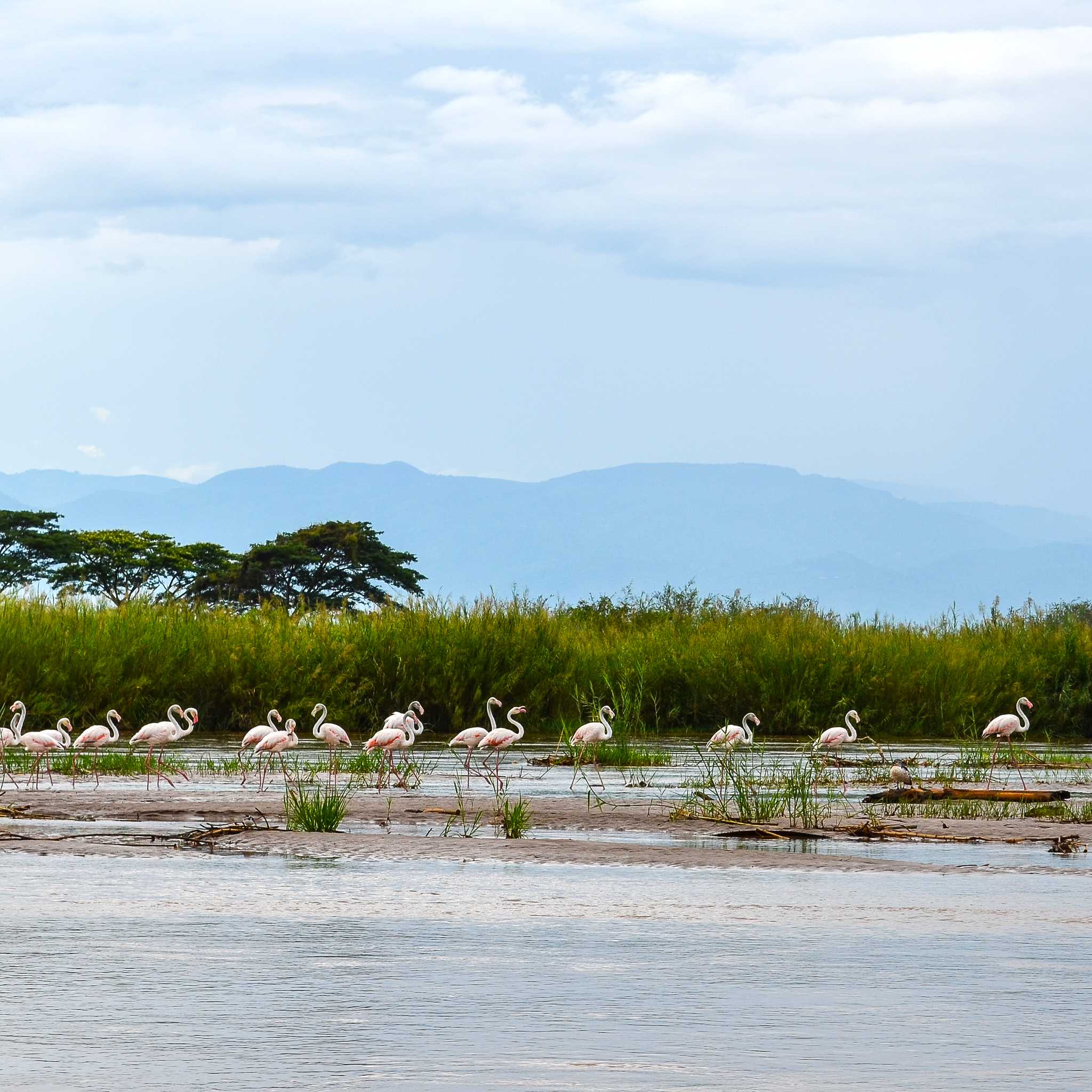Ruvubu National Park - Gasave Entrance