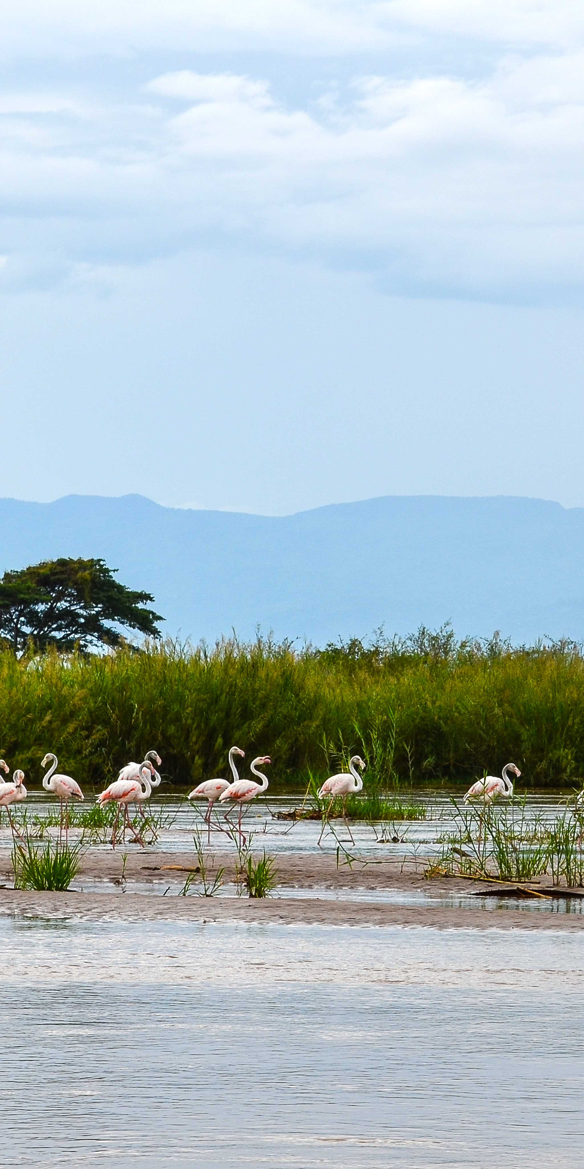 Ruvubu National Park - Gasave Entrance