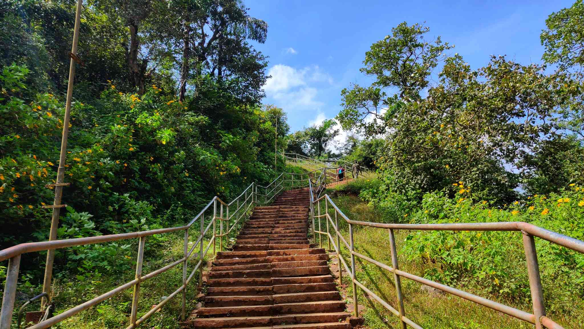 Bangalore 的风景 - 从 Sakleshpur 出发的私人 一日游 - 照片 5