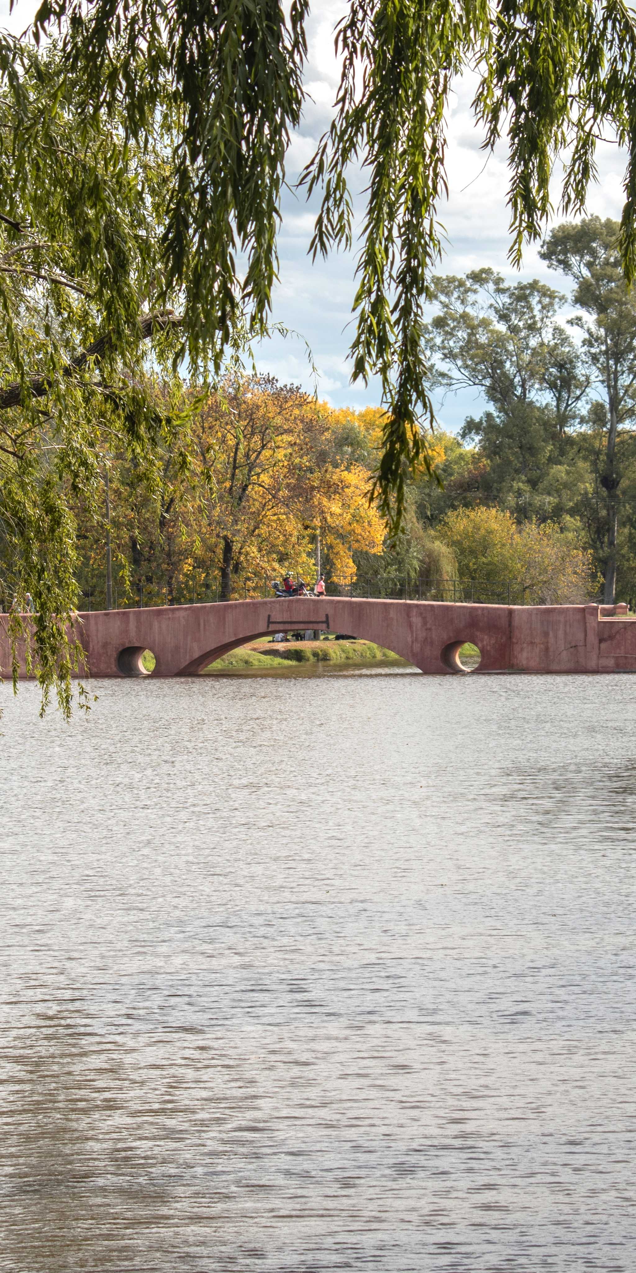 圣安东尼奥·德·阿雷科