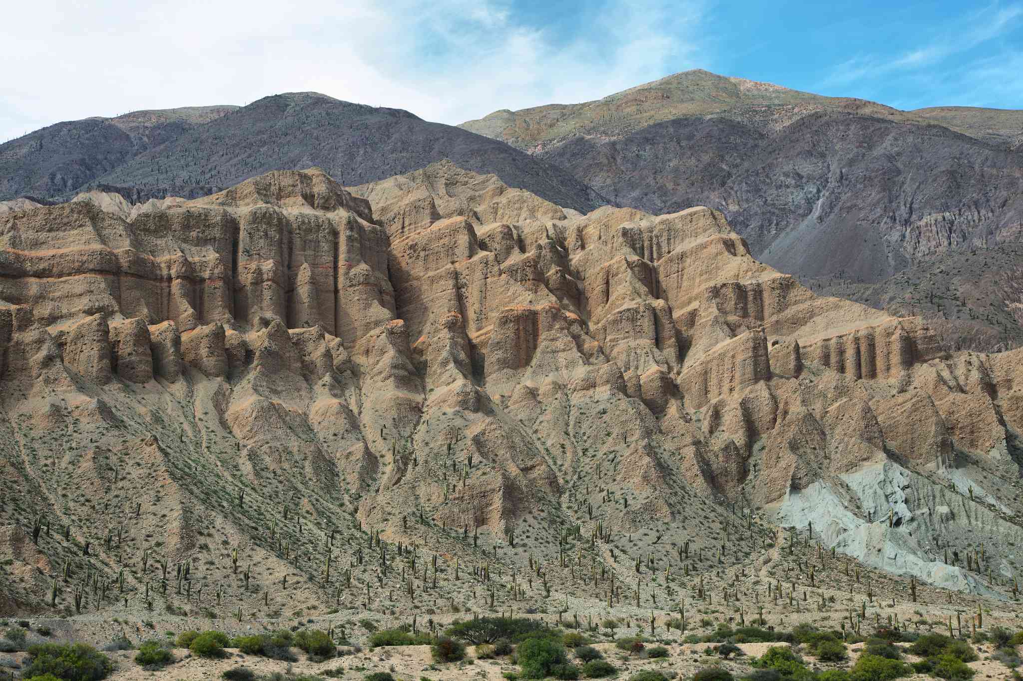Scenic view of Salta - private day trip from San Antonio de los Cobres - photo 8