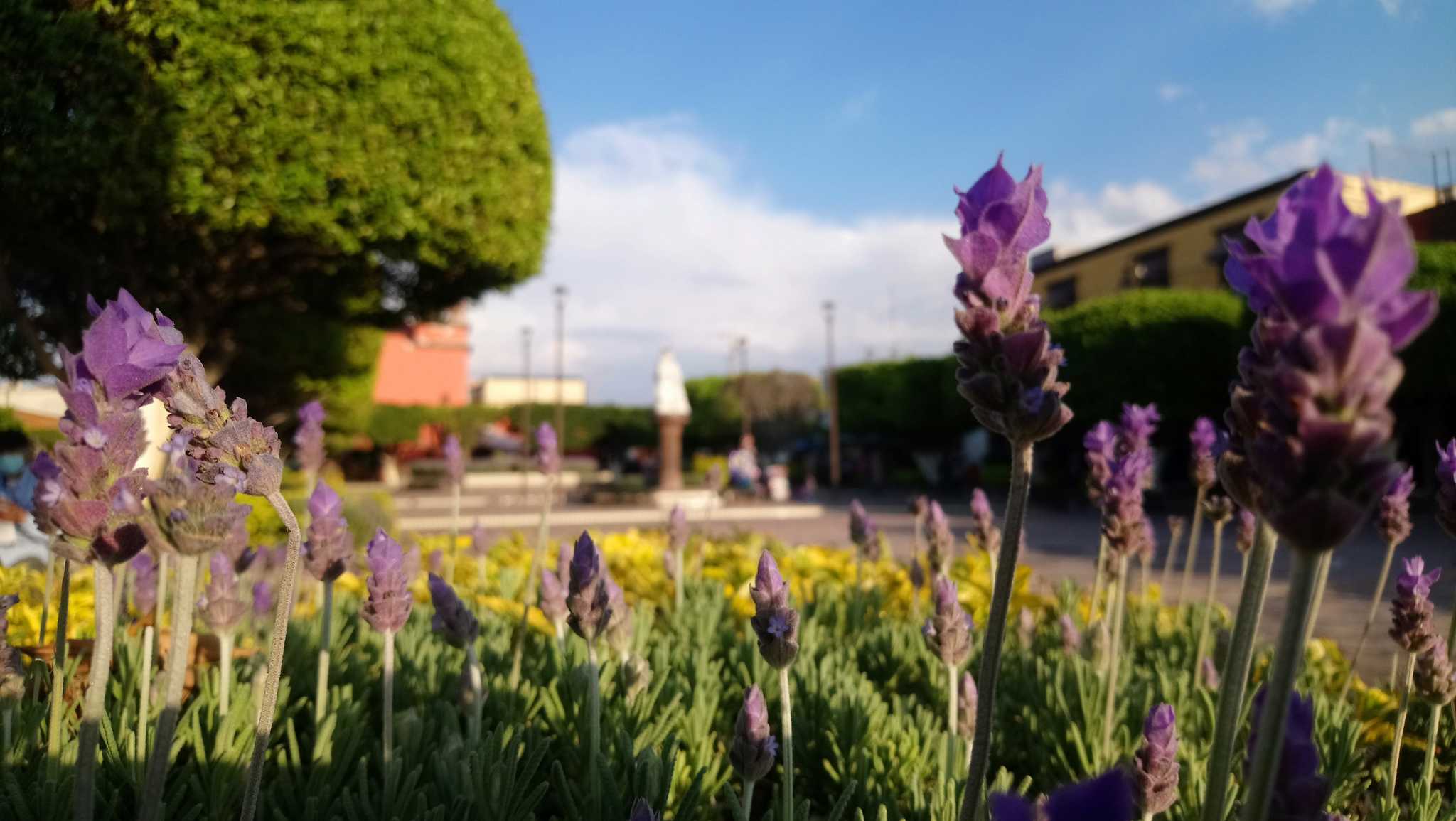 Arrêt de l'itinéraire à San Juan del Rio lors d'une excursion privée d'une journée depuis Mexico City