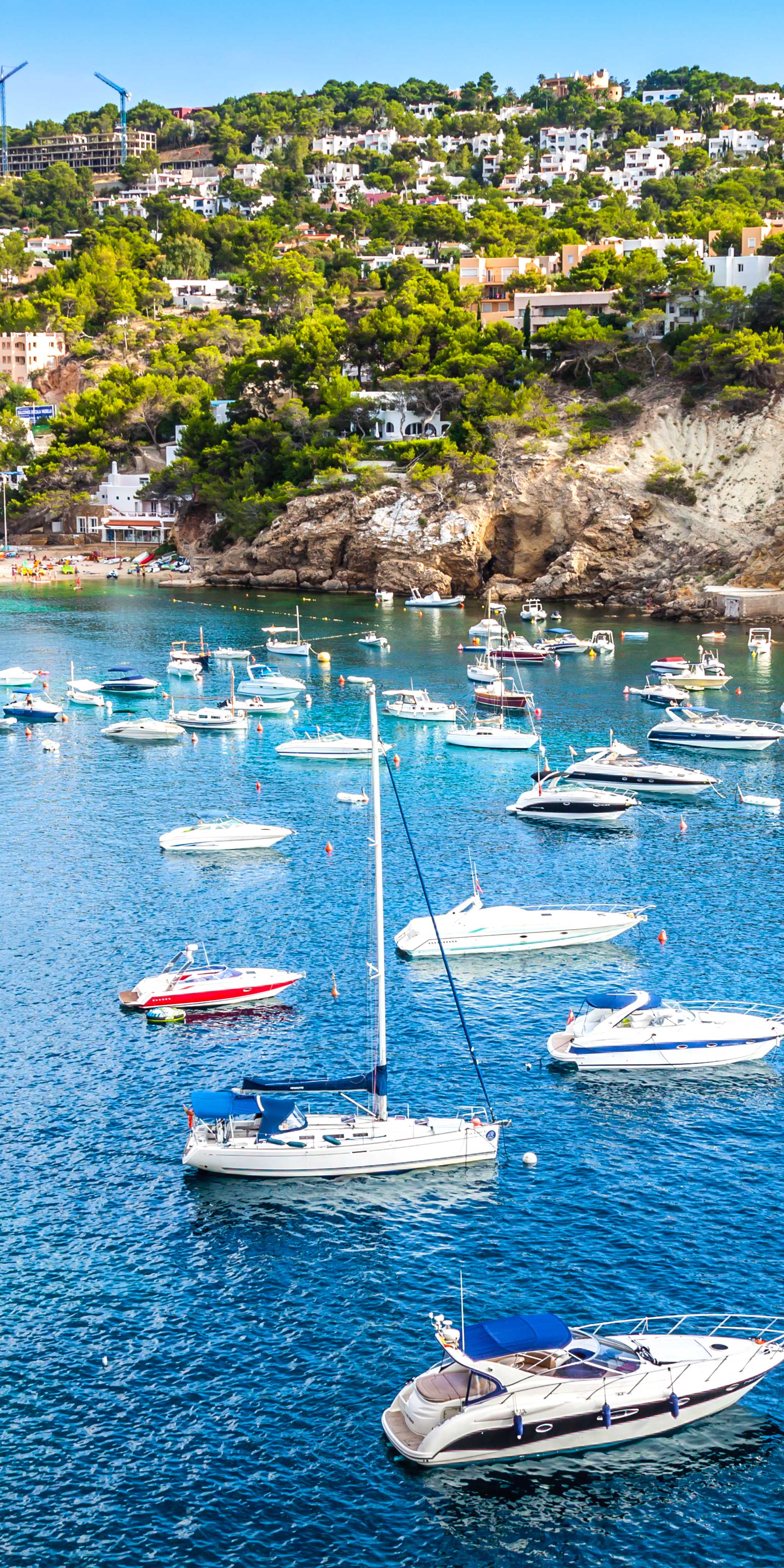 圣约瑟夫德萨塔拉亚