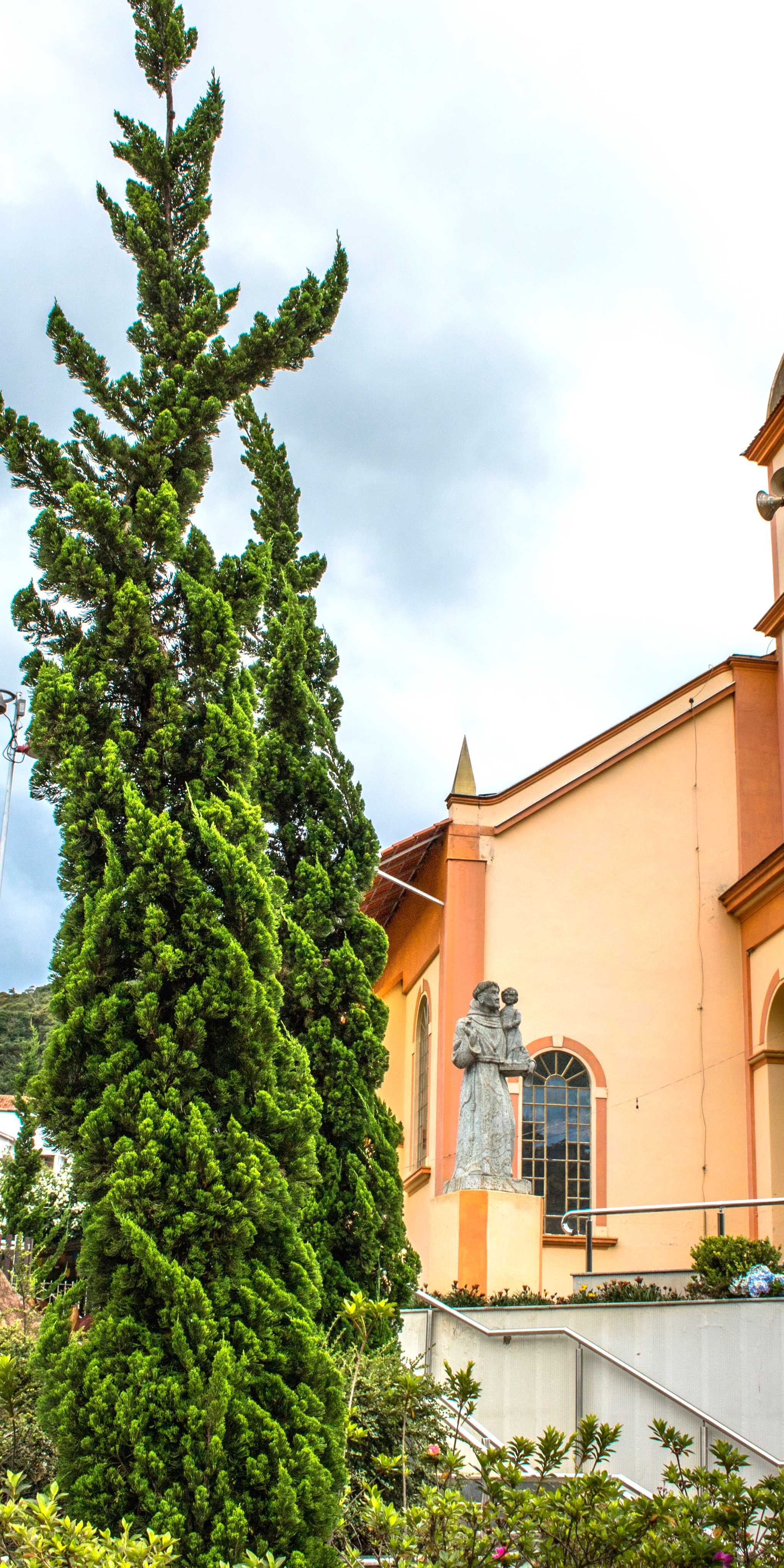 Santo Antonio do Pinhal