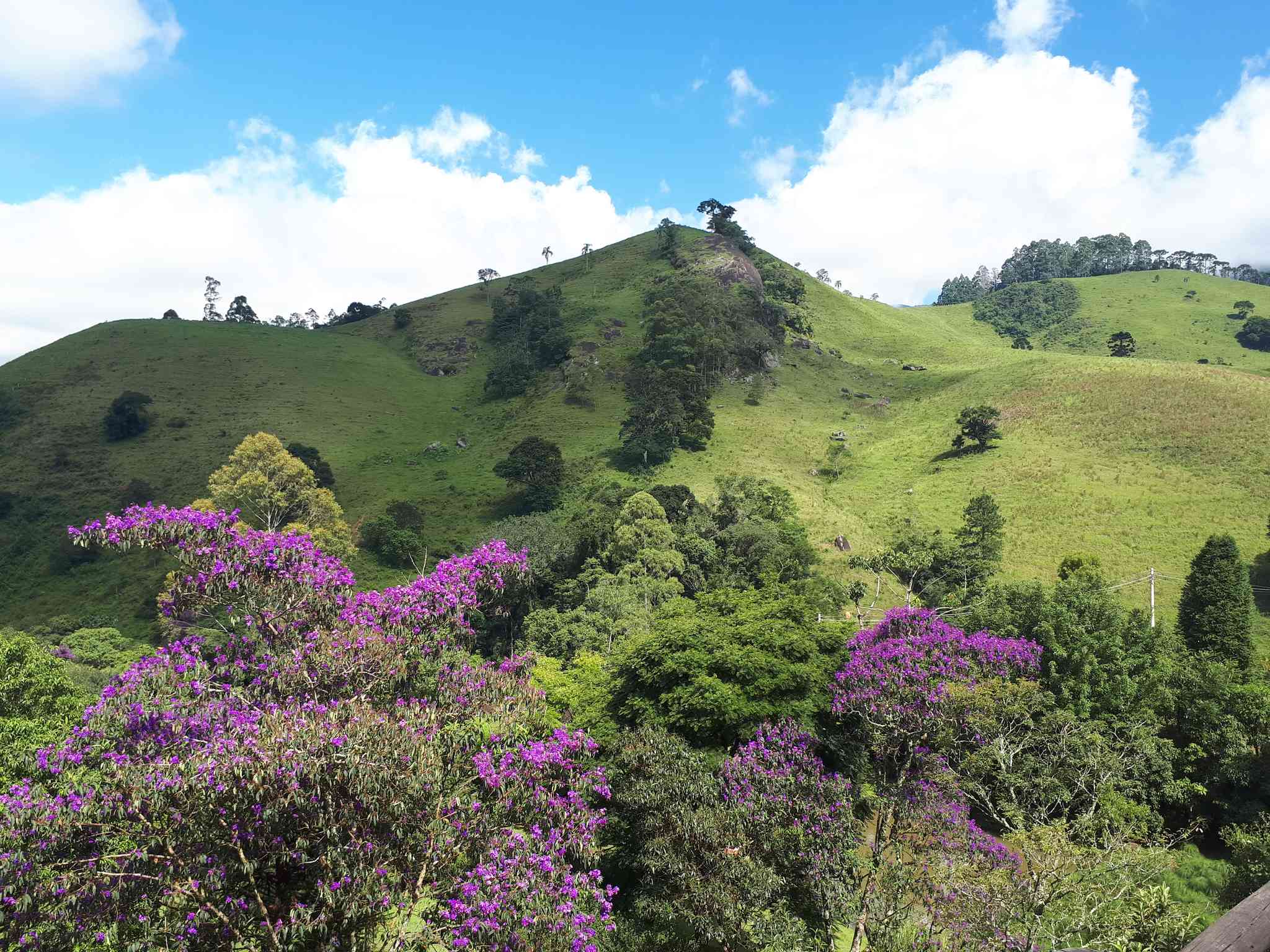Blick auf die Landschaft von Sao Francisco Xavier - private Tagesreise von Sao Paulo - Foto 3