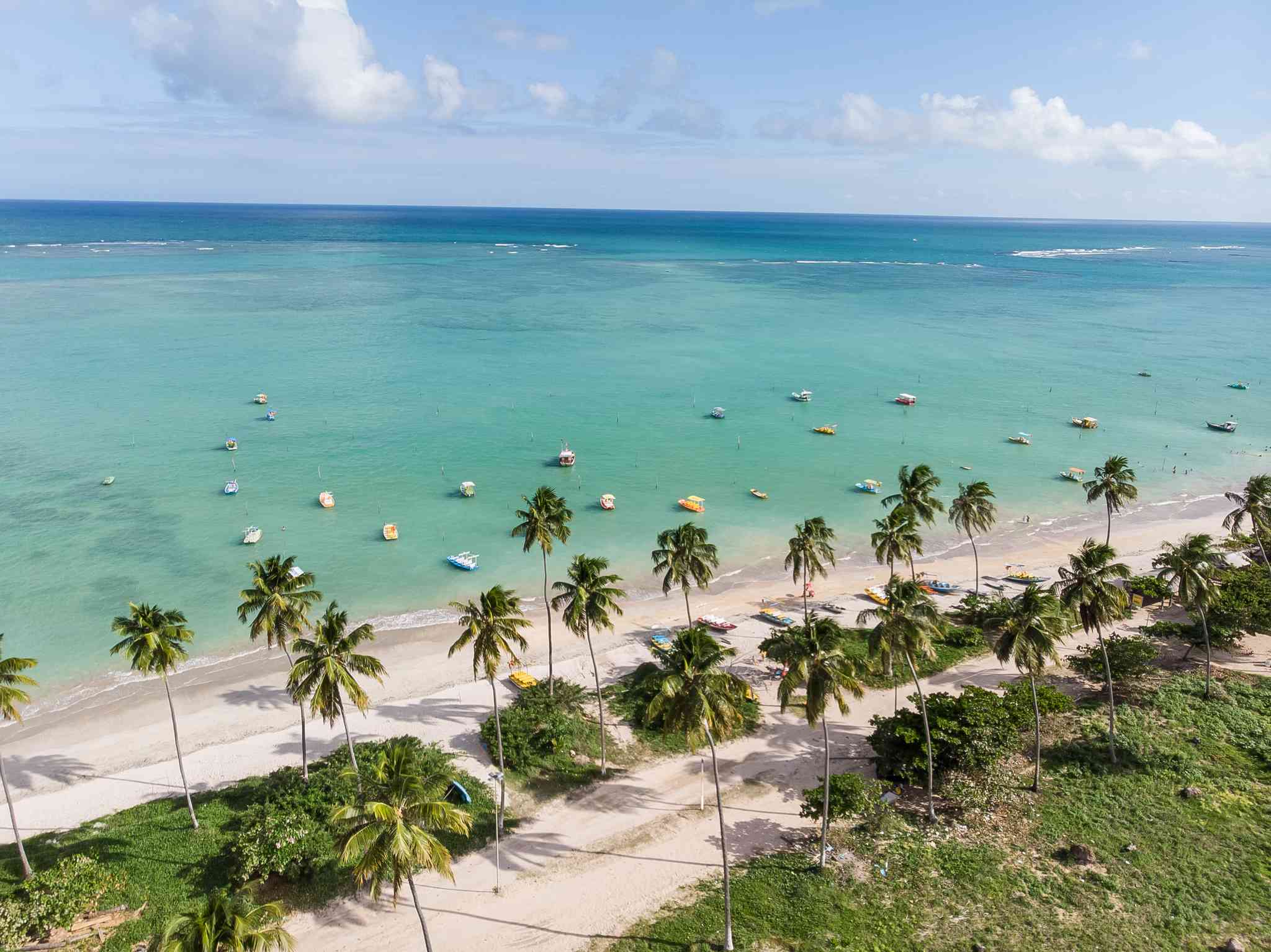 Vue pittoresque de Recife - excursion privée d'une journée depuis Sao Miguel dos Milagres - photo 6