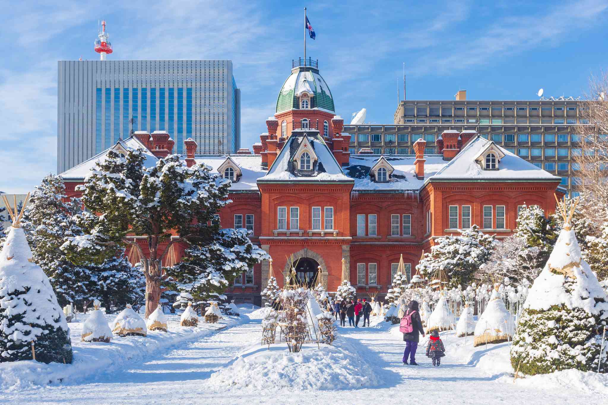 Vista panorámica de Sapporo - excursión privada de un día desde Hirosaki - foto 4