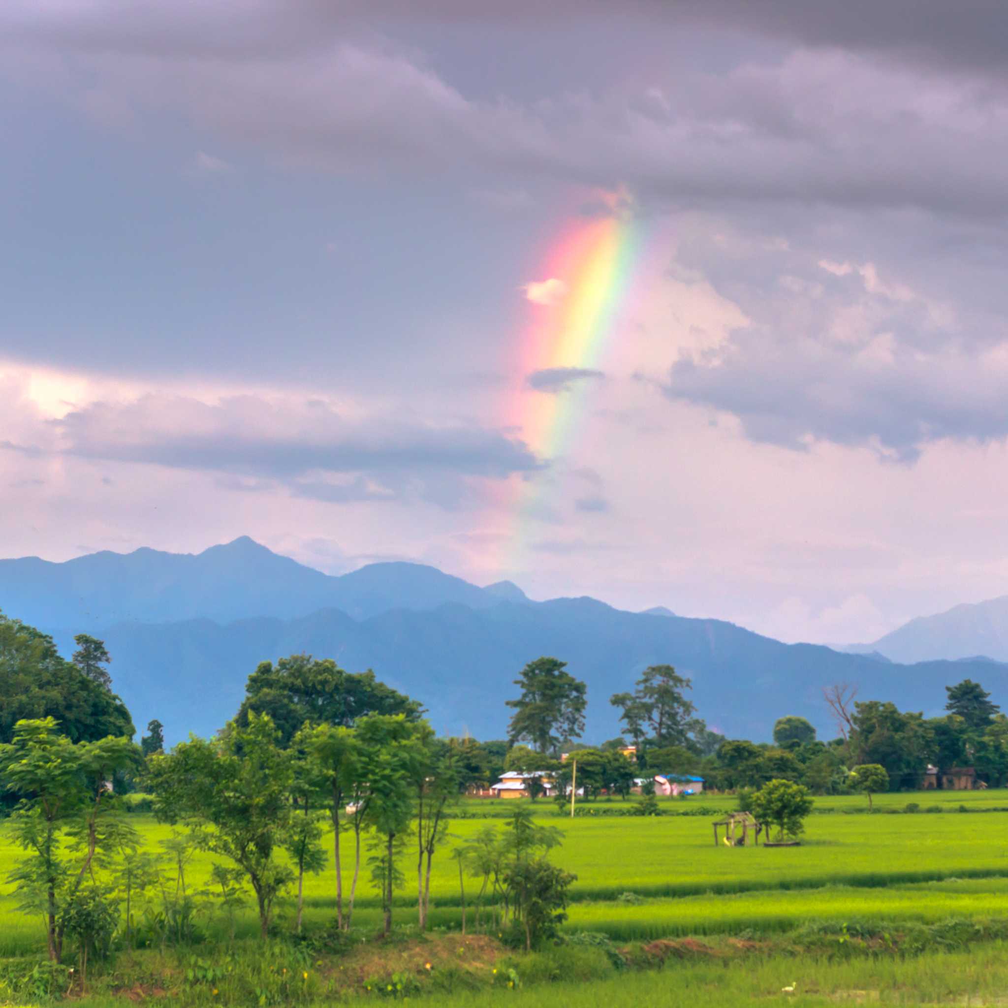 Private car transfers in Nepal from Sauraha