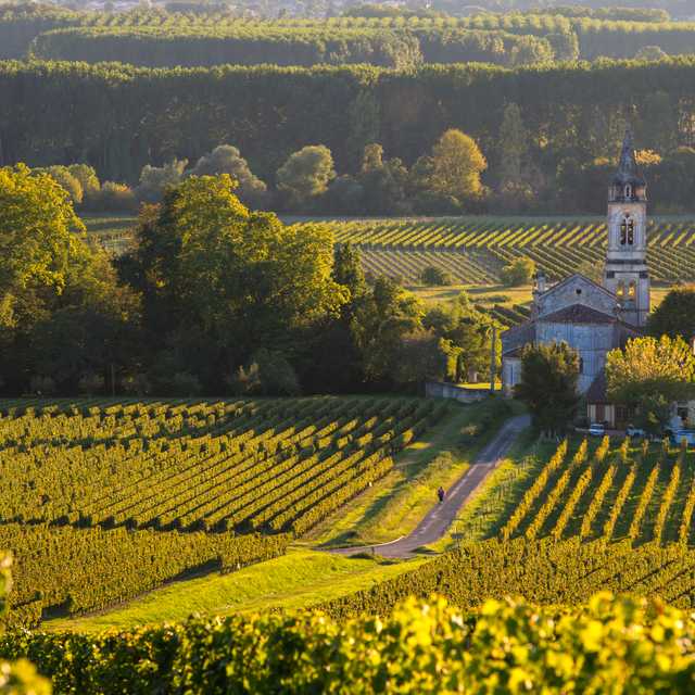 Bordeaux to Sauternes and Barsac: Private day trip