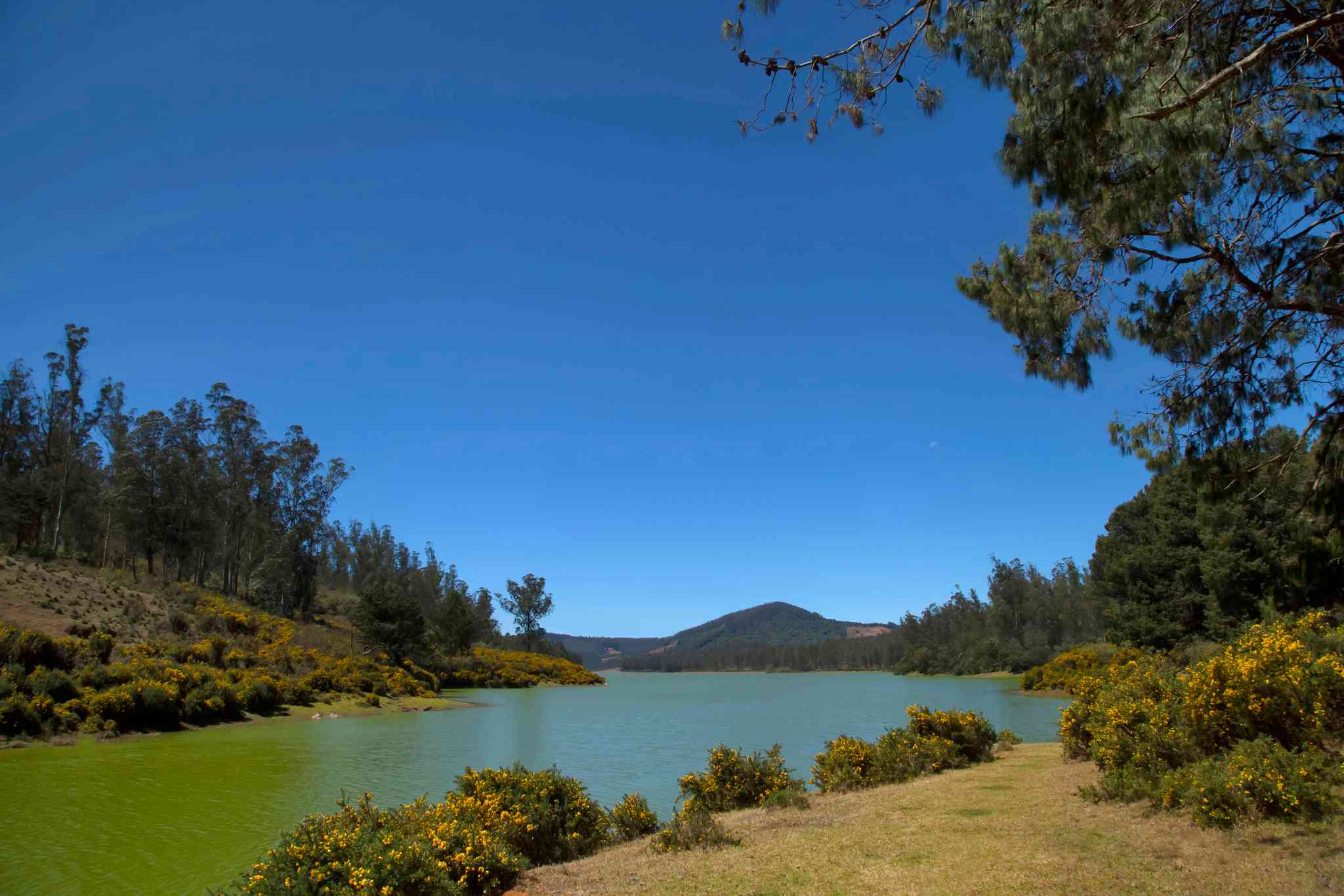 Vista panorámica de Dabolim - excursión privada de un día desde Sawantwadi - foto 3