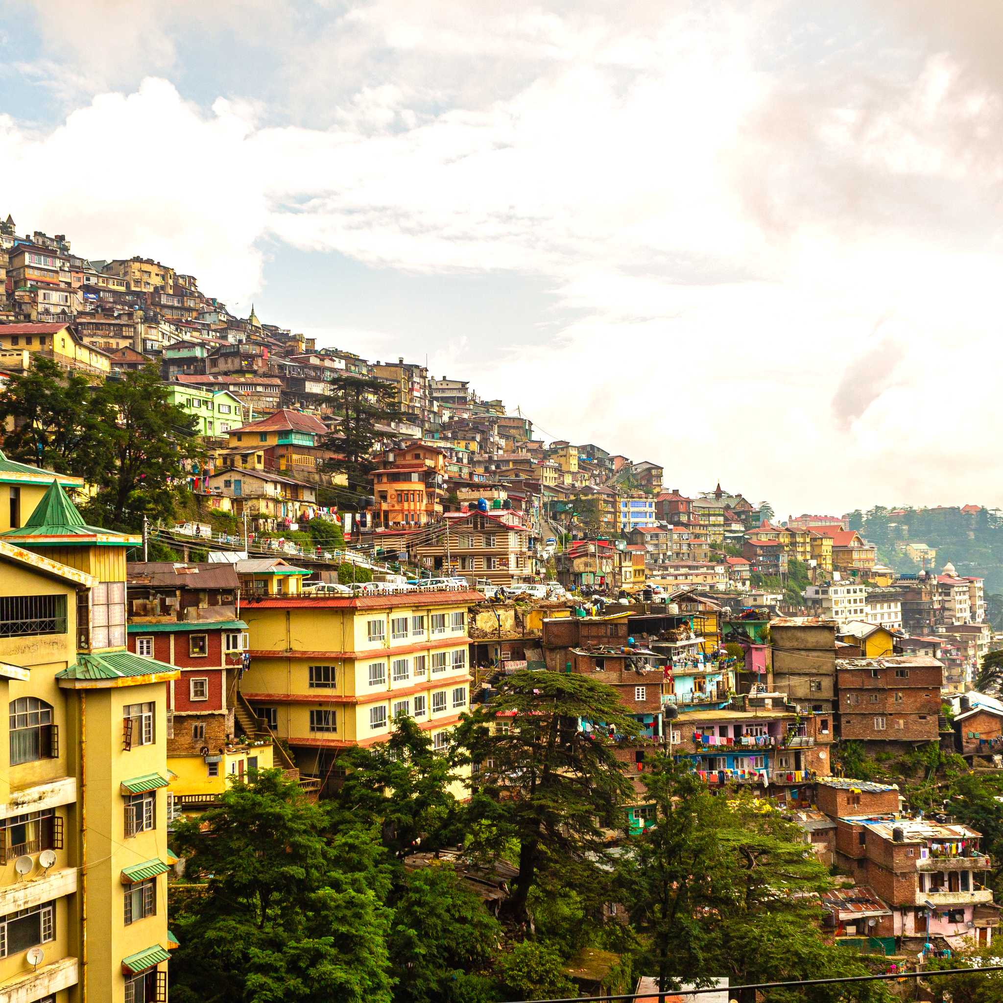 Shimla