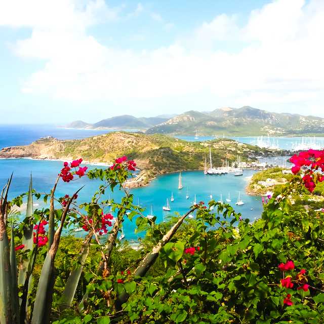 St Johns to English Harbour and Shirley Heights: Day trip