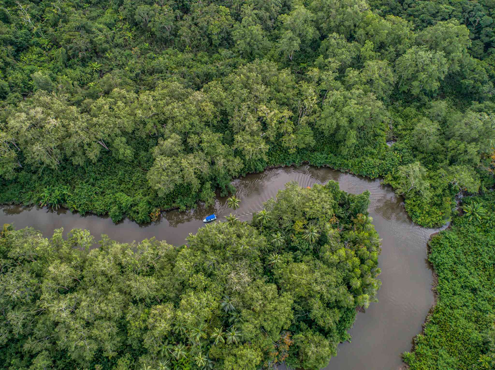 Blick auf die Landschaft von Tamarindo - private Tagesreise von Sierpe - Foto 6