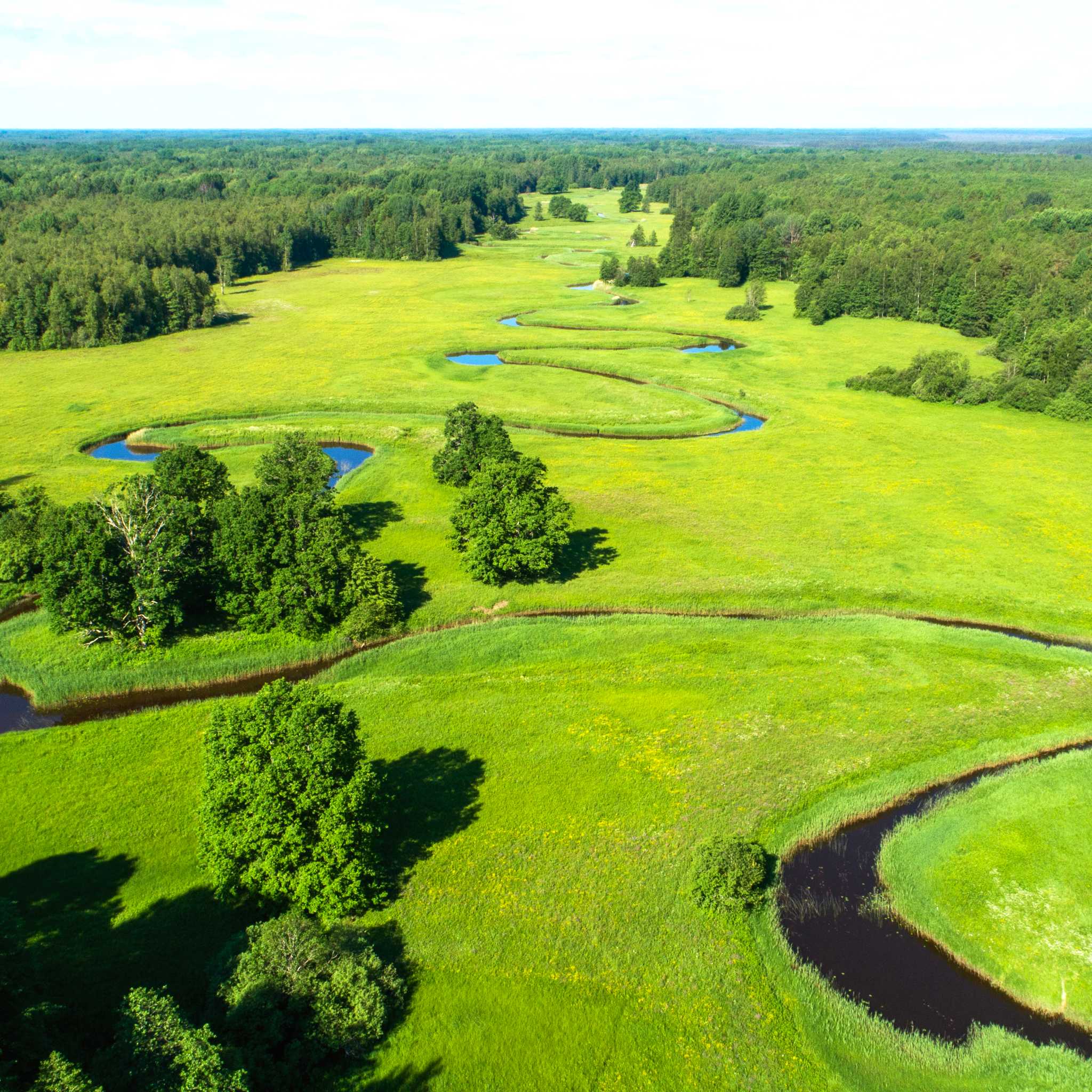 Soomaa National Park