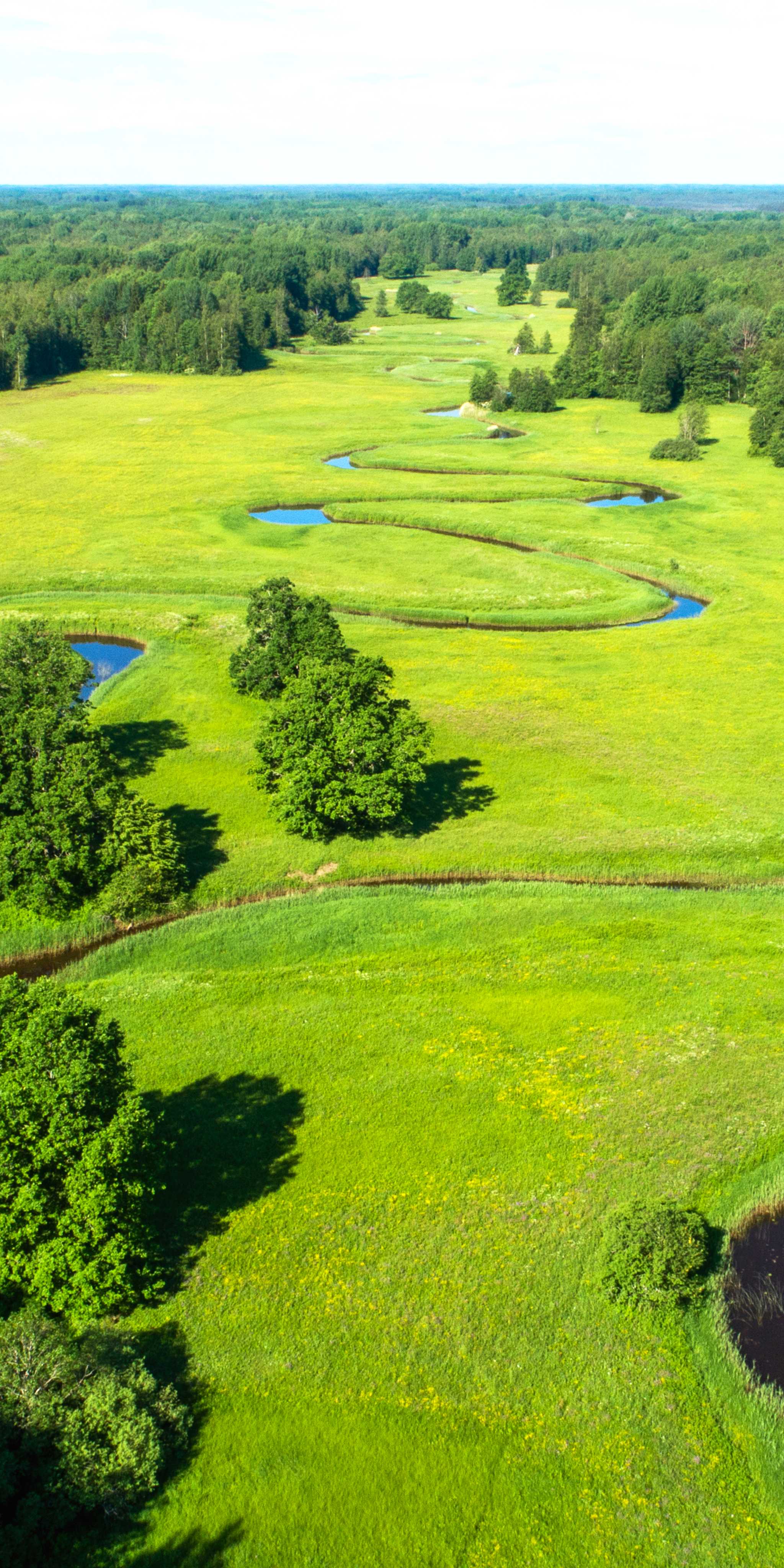 Parque Nacional Soomaa