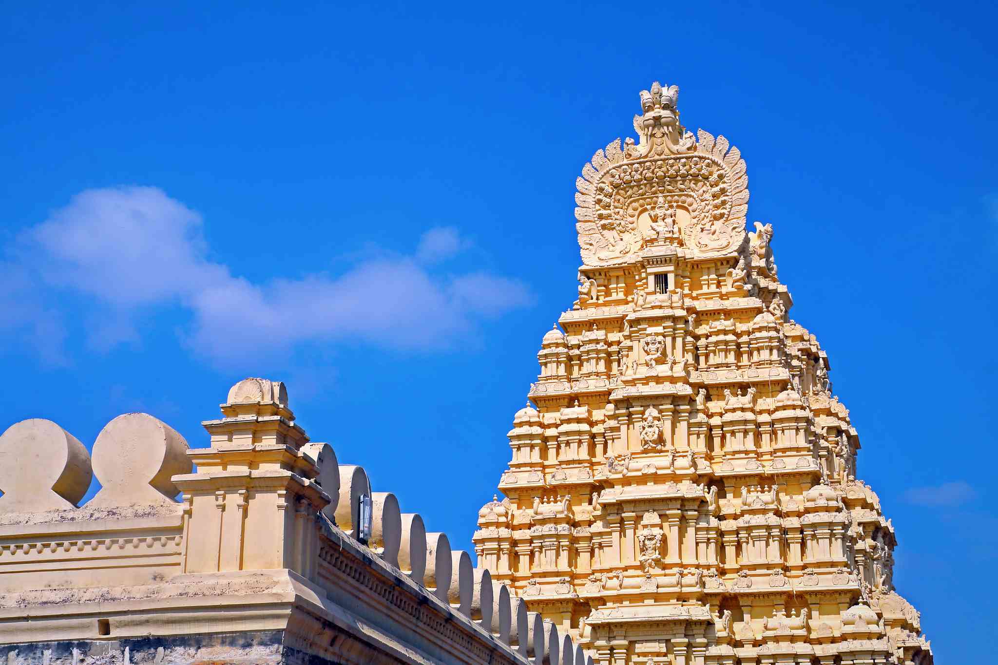 Bangalore 의 경치 - Srirangapatna 에서 출발하는 개인 day trip - 사진 5