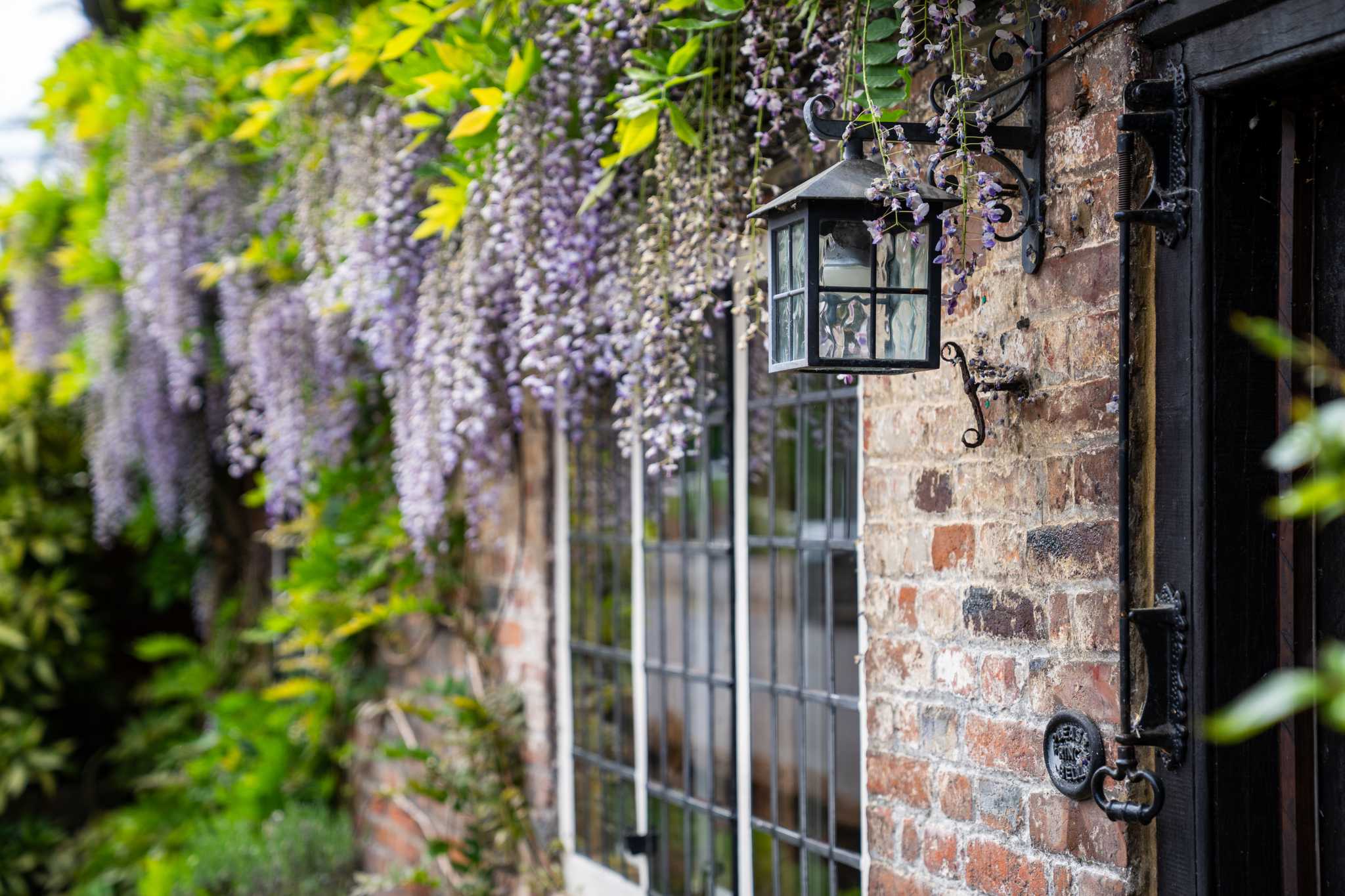 Itinerary stop at Steventon on private day trip from London