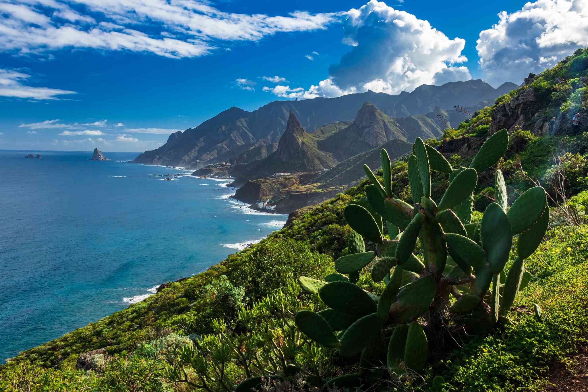 Tenerife South Airport 의 경치 - Taganana 에서 출발하는 개인 day trip - 사진 3