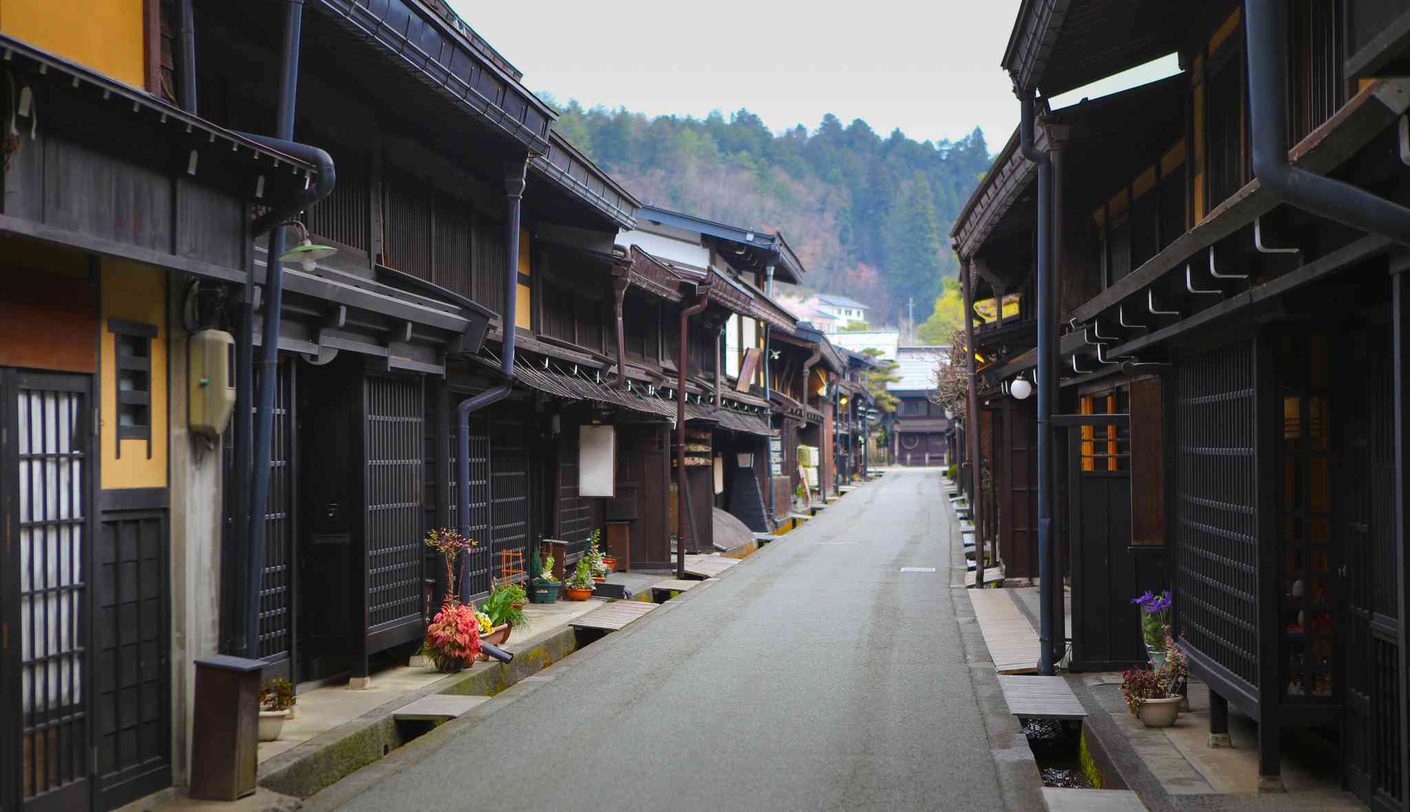Scenic view of Kyoto - private day trip from Takayama - photo 7