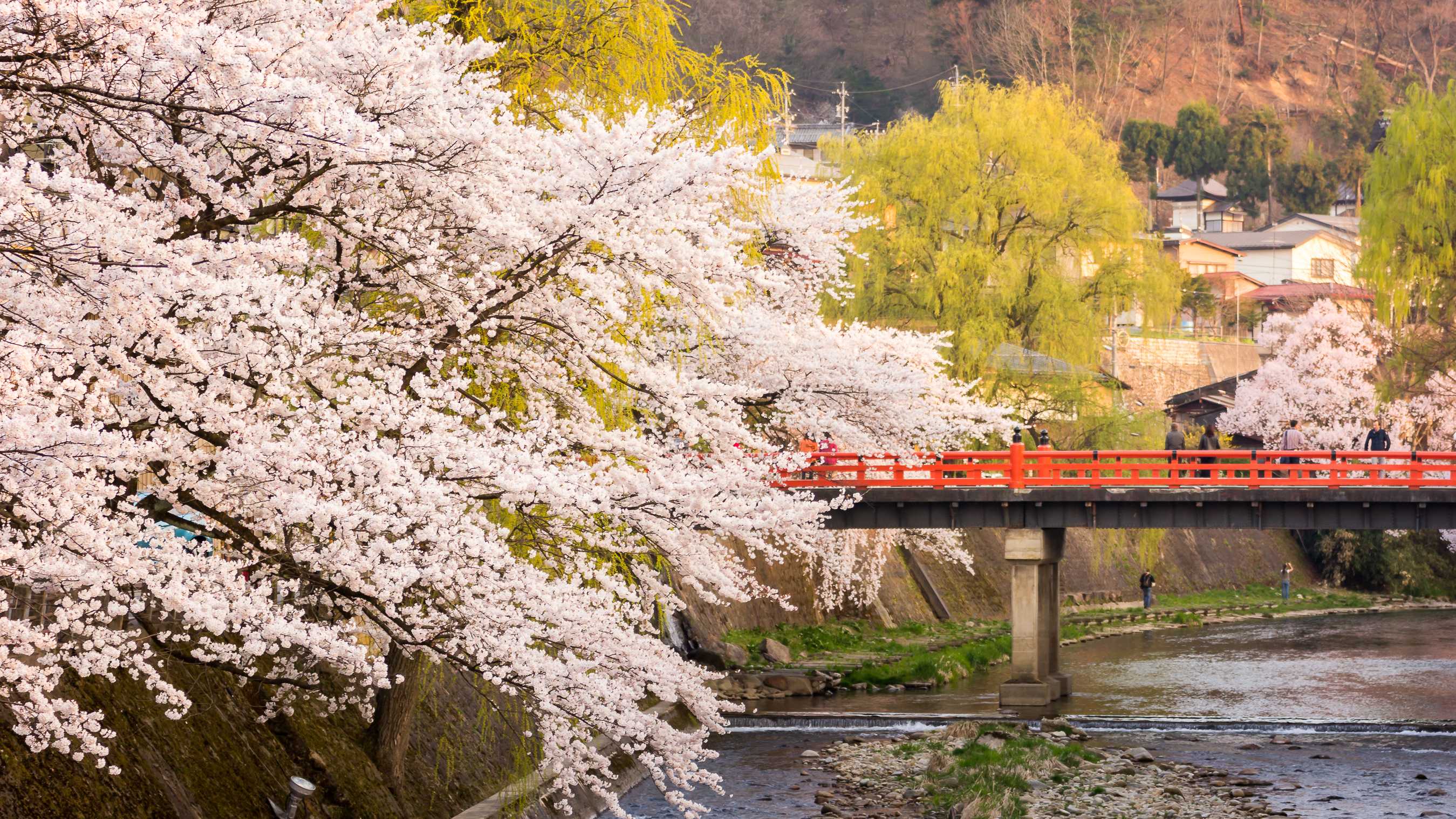 Osaka to Takayama Private Transfer | Daytrip
