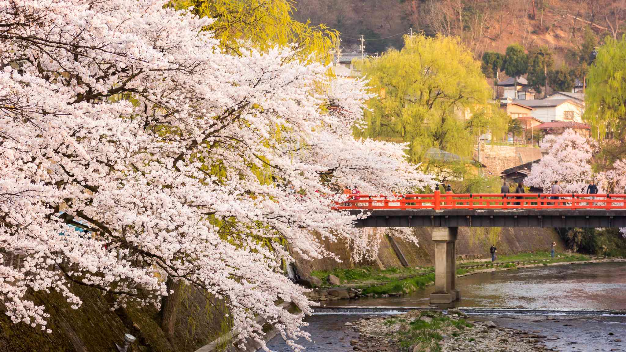 Scenic view of Kyoto - private day trip from Takayama - photo 9