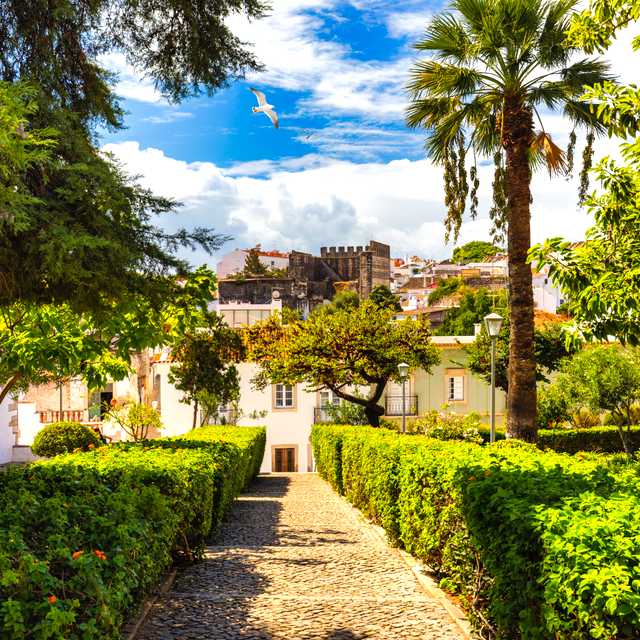 Faro City to Tavira and Olhao: Private day trip