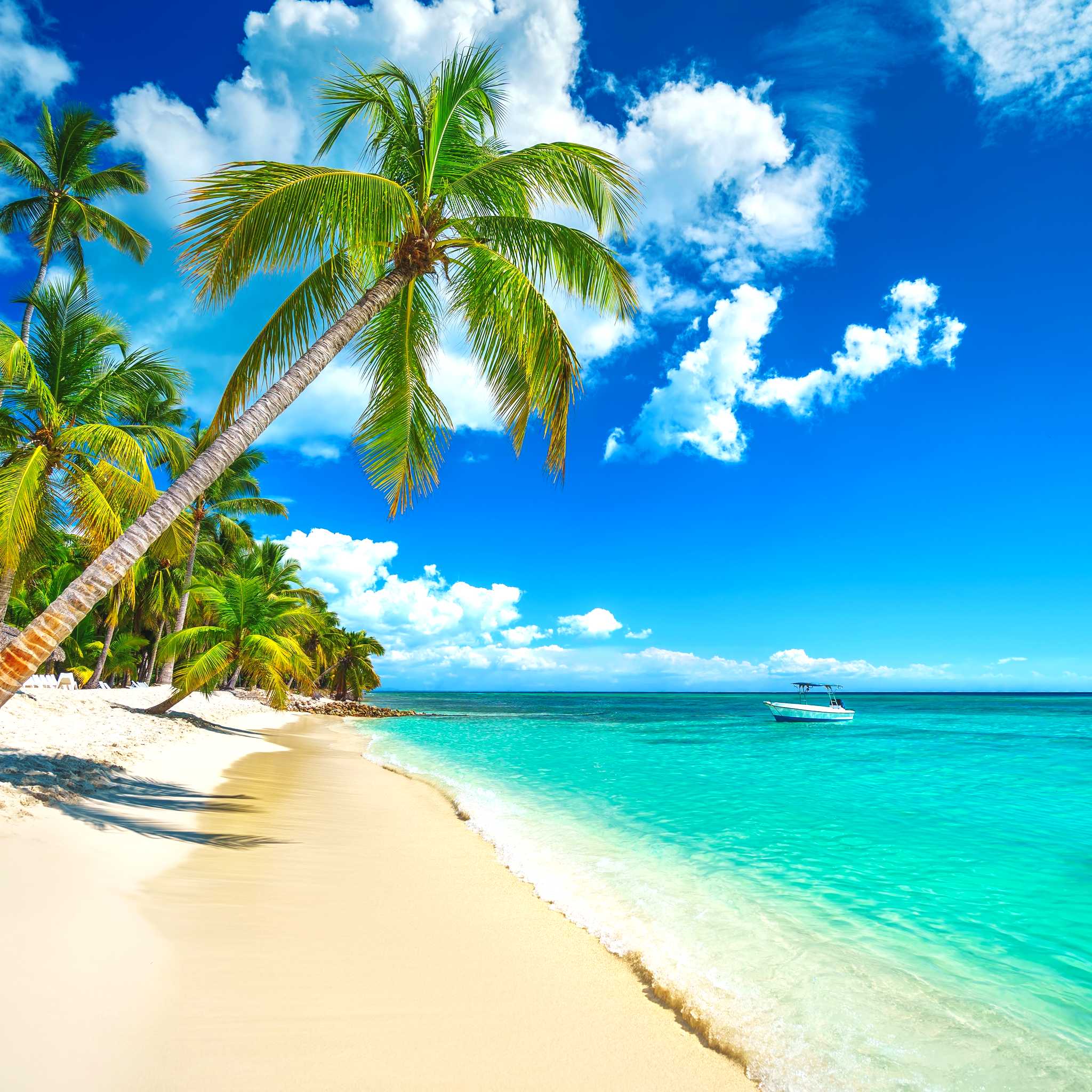 Thala Beach