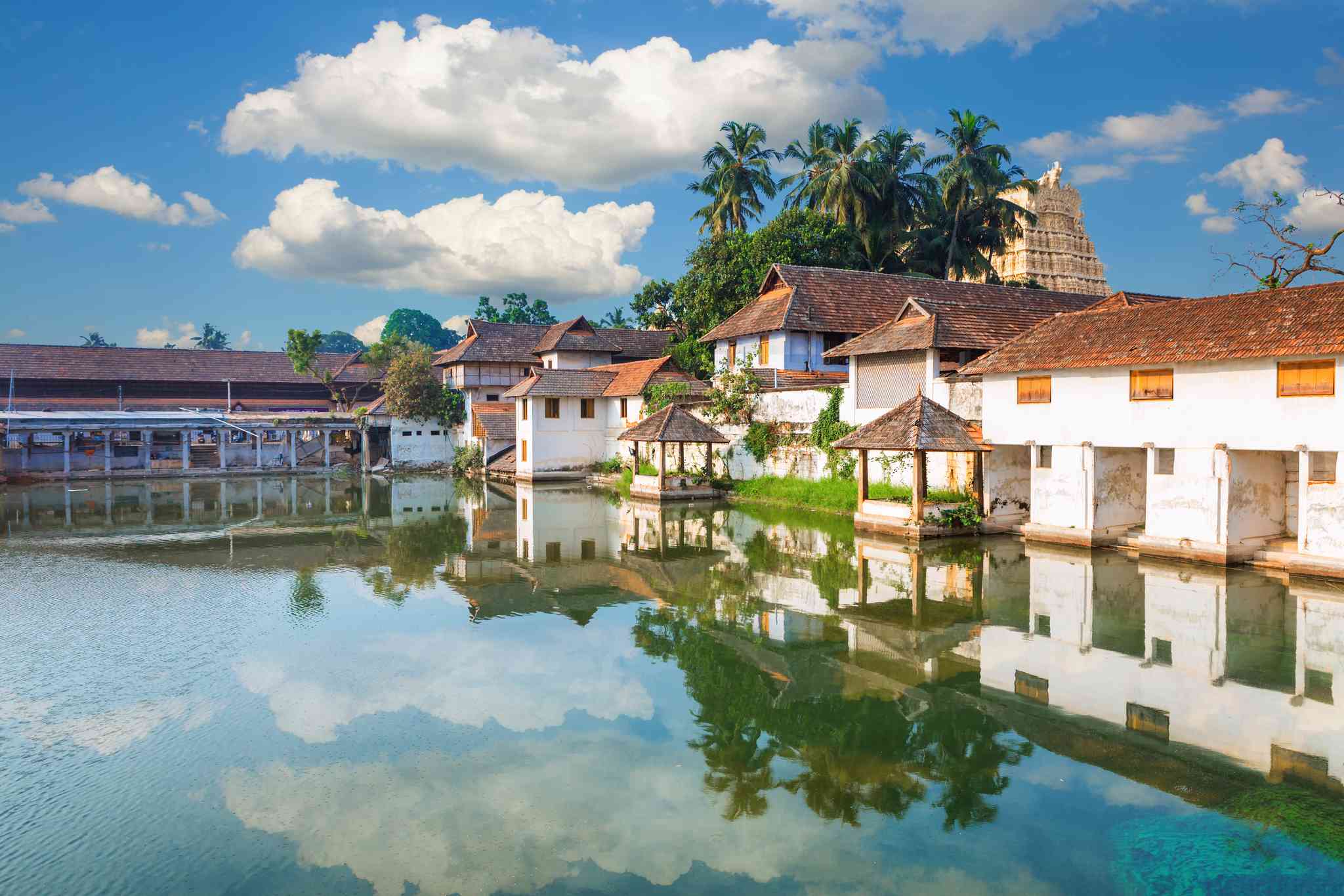 Vista panorámica de Kochi - excursión privada de un día desde Trivandrum - foto 7